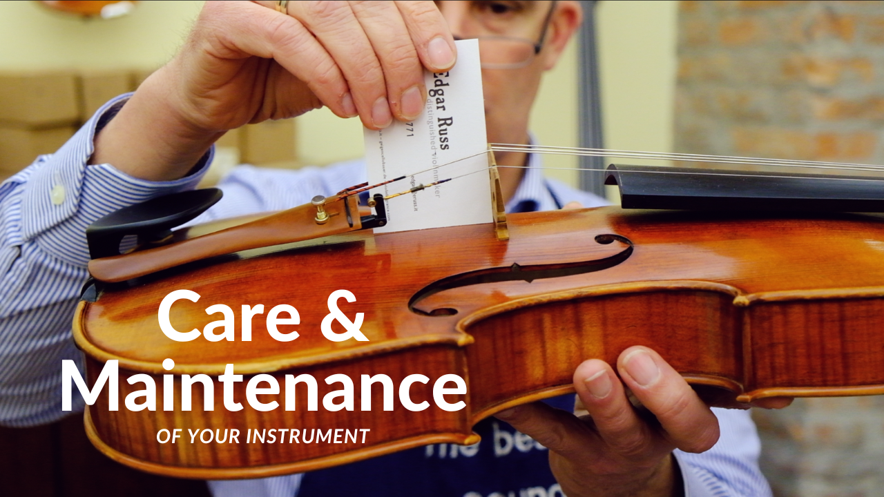 Care and Maintenance