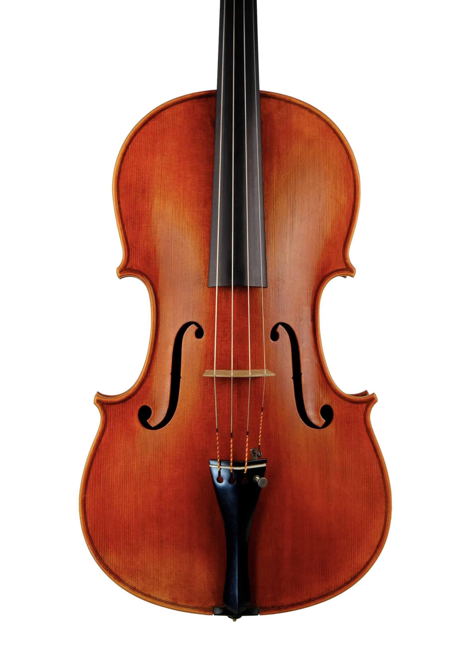 viola collection