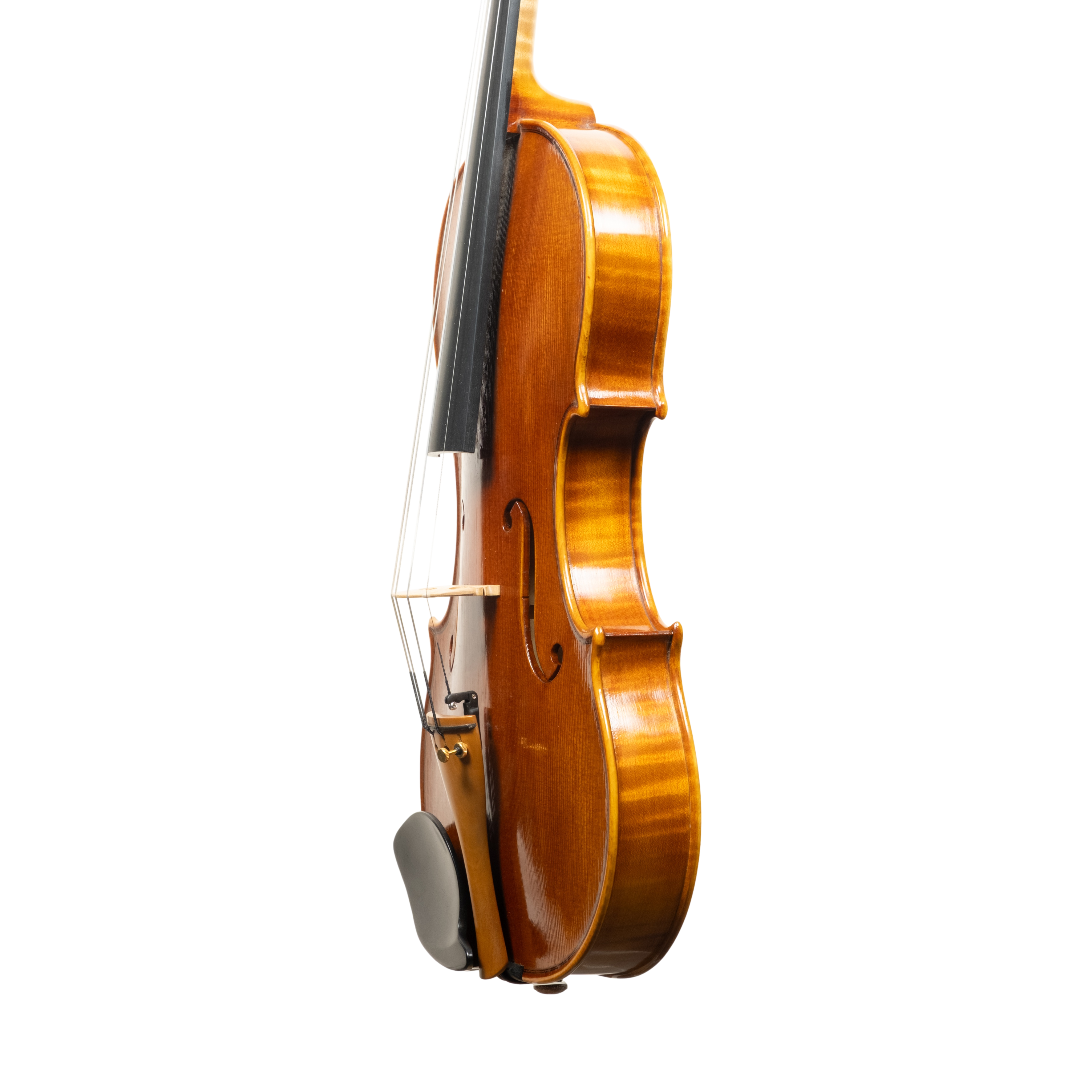 Violin - Linea Macchi, Guarneri "Cannone" 2026 Adige
