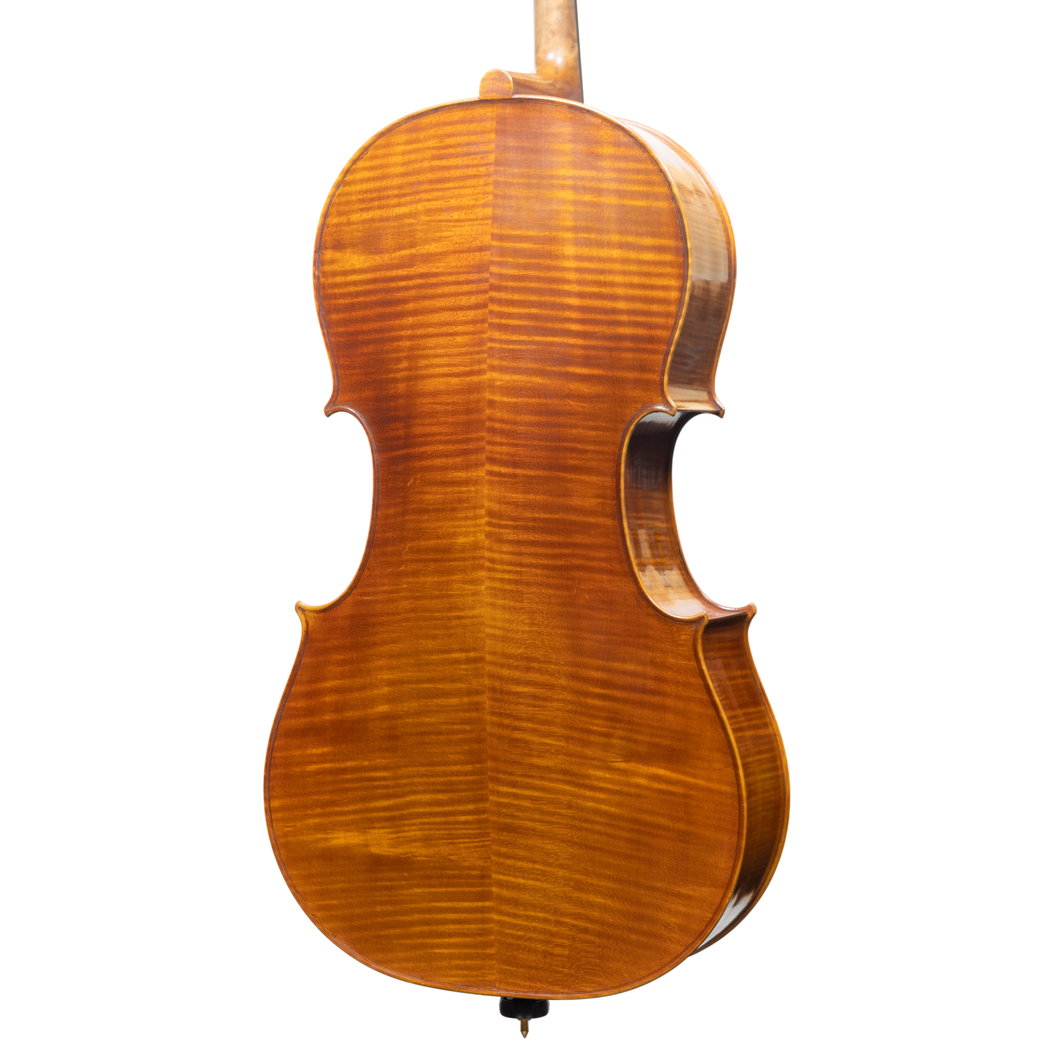 Cello - Stefano Guerreschi, mod. Stradivari "Gore Booth", Cremona 2025