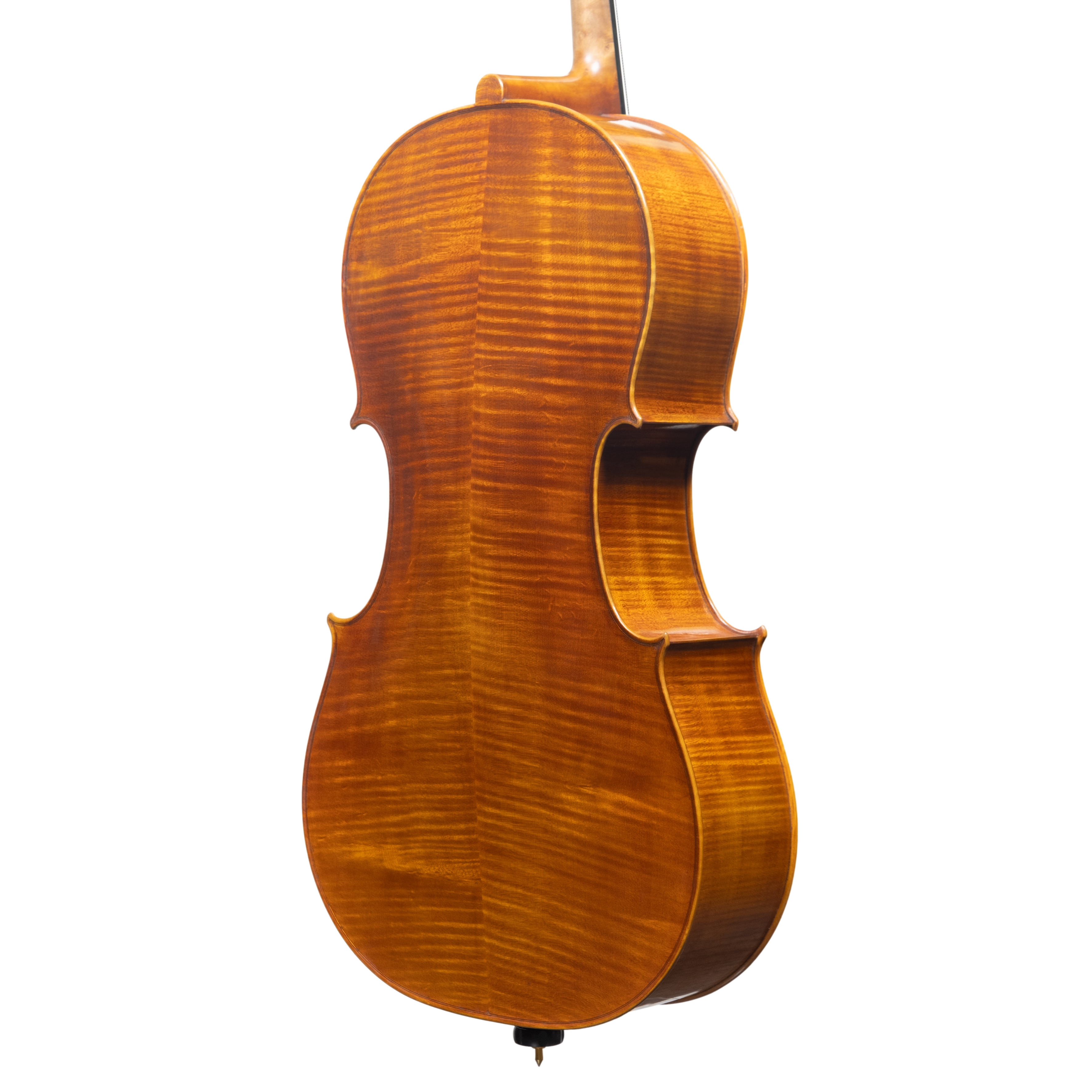 Cello - Stefano Guerreschi, mod. Stradivari "Gore Booth", Cremona 2025