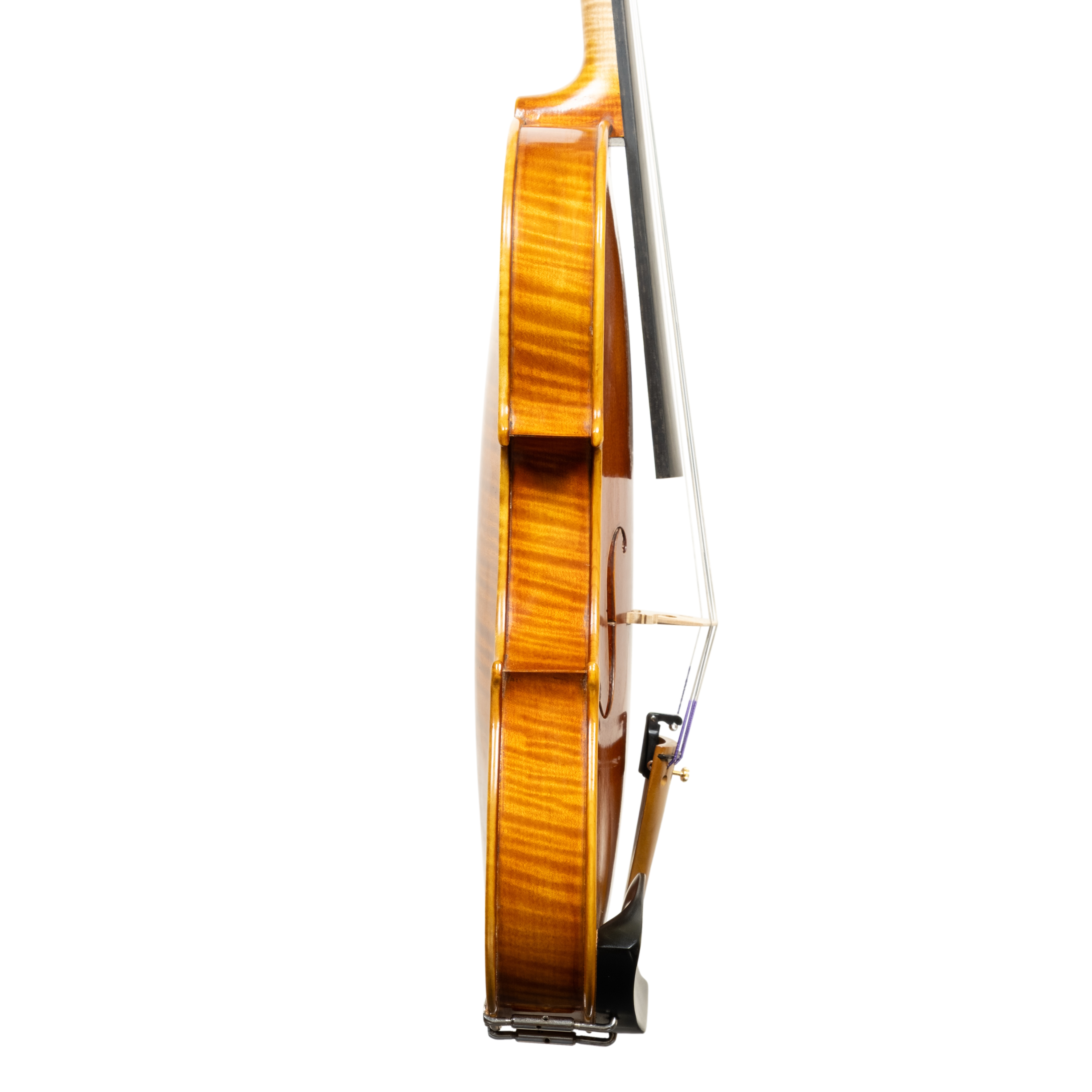 Violin - Linea Macchi, Stradivari Cremona 2025 B