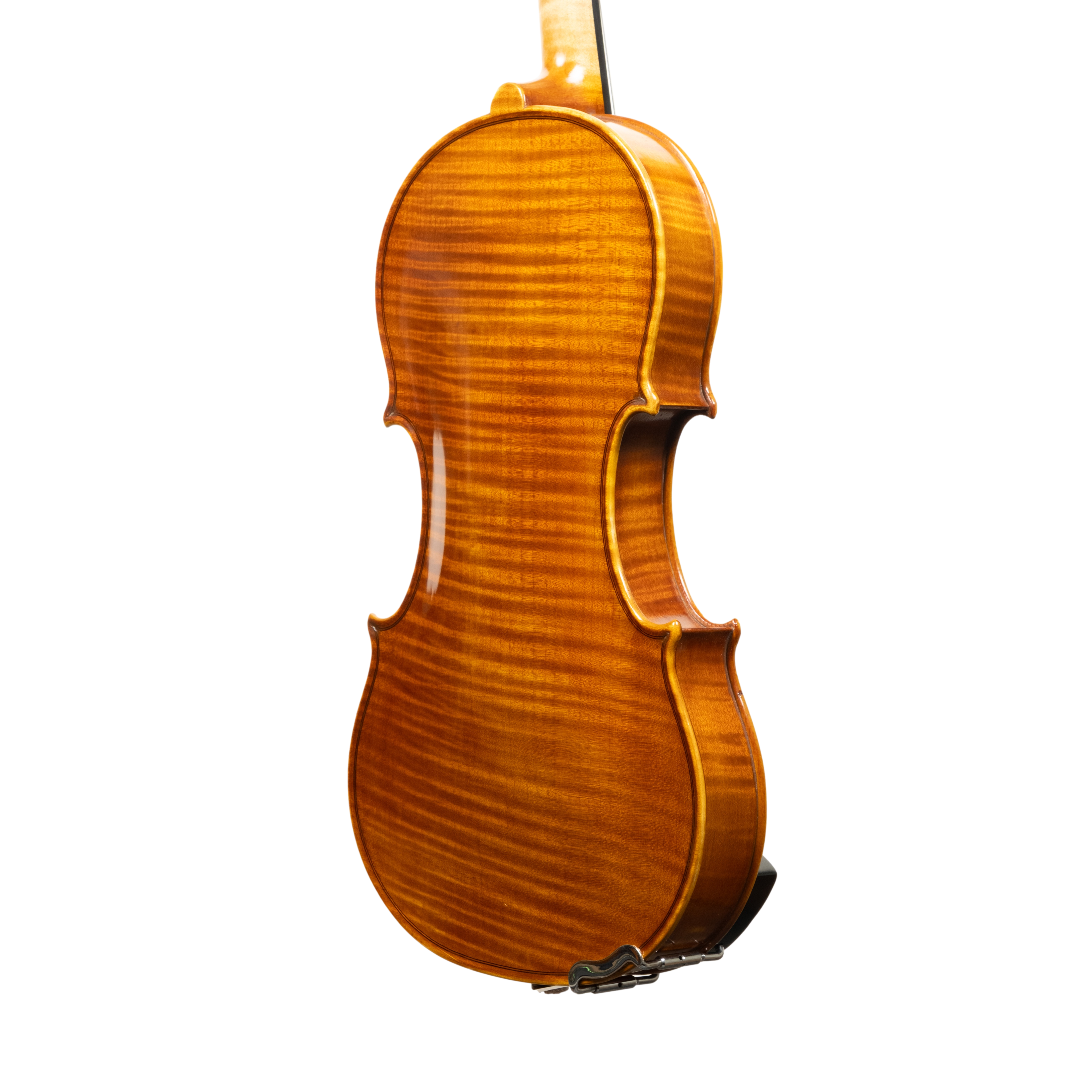 Violin - Linea Macchi, Guarneri "Cannone" 2026 Adige