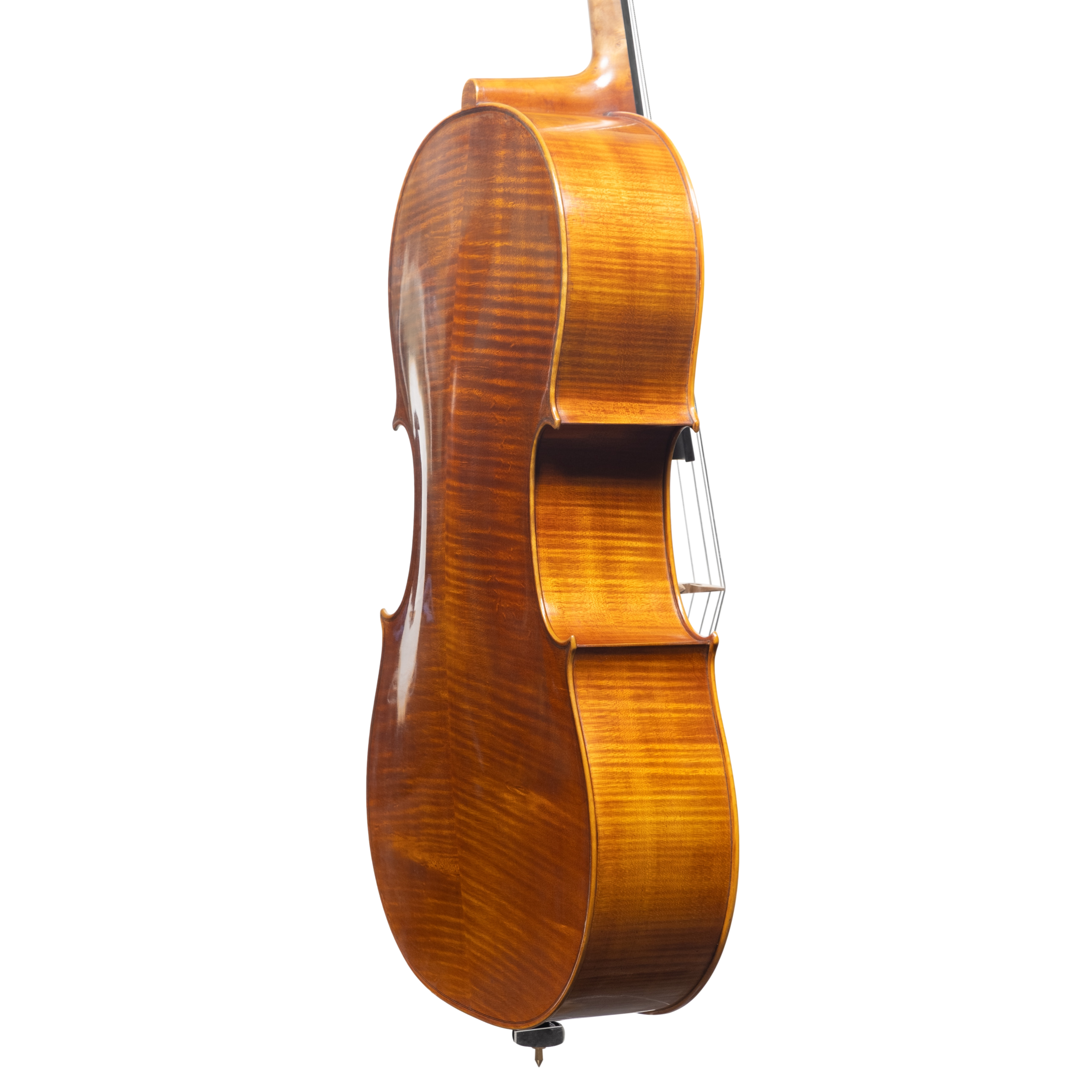 Cello - Stefano Guerreschi, mod. Stradivari "Gore Booth", Cremona 2025