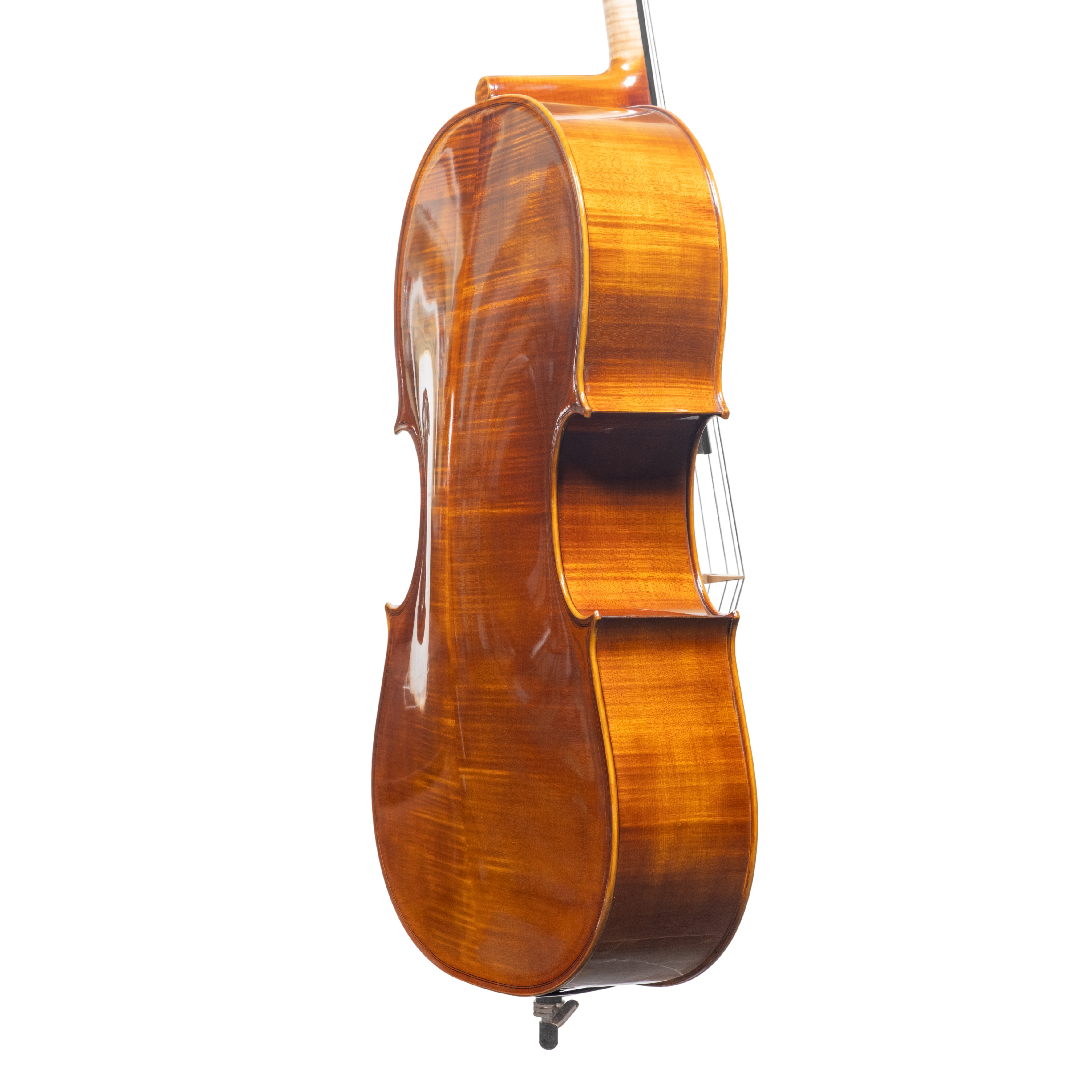 Cello - Scala Perfetta, Montagnana, Cremona 2025 "CIMA TOSA"