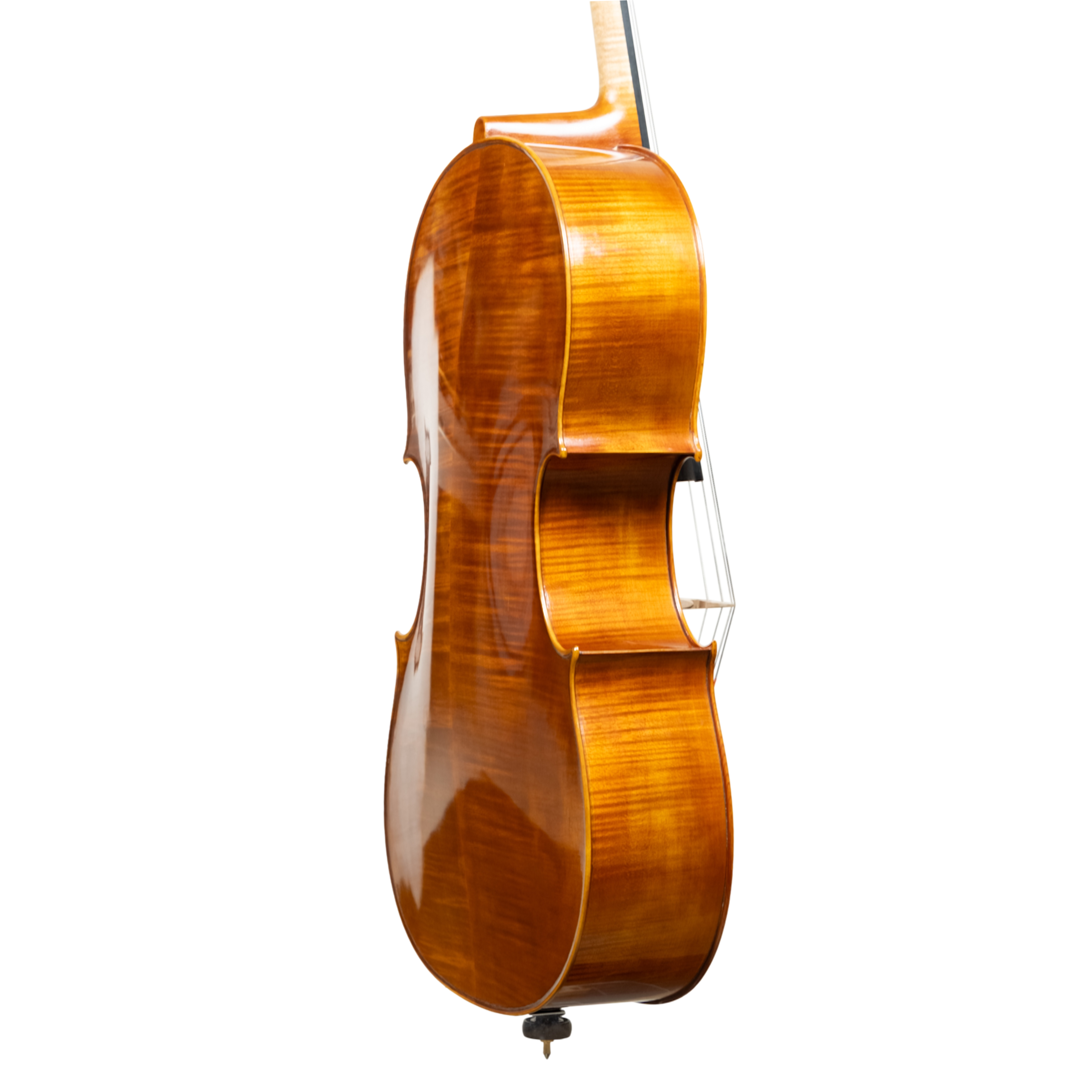Cello - Linea Macchi, Domenico Montagnana "Sleeping Beauty", Cremona 2026