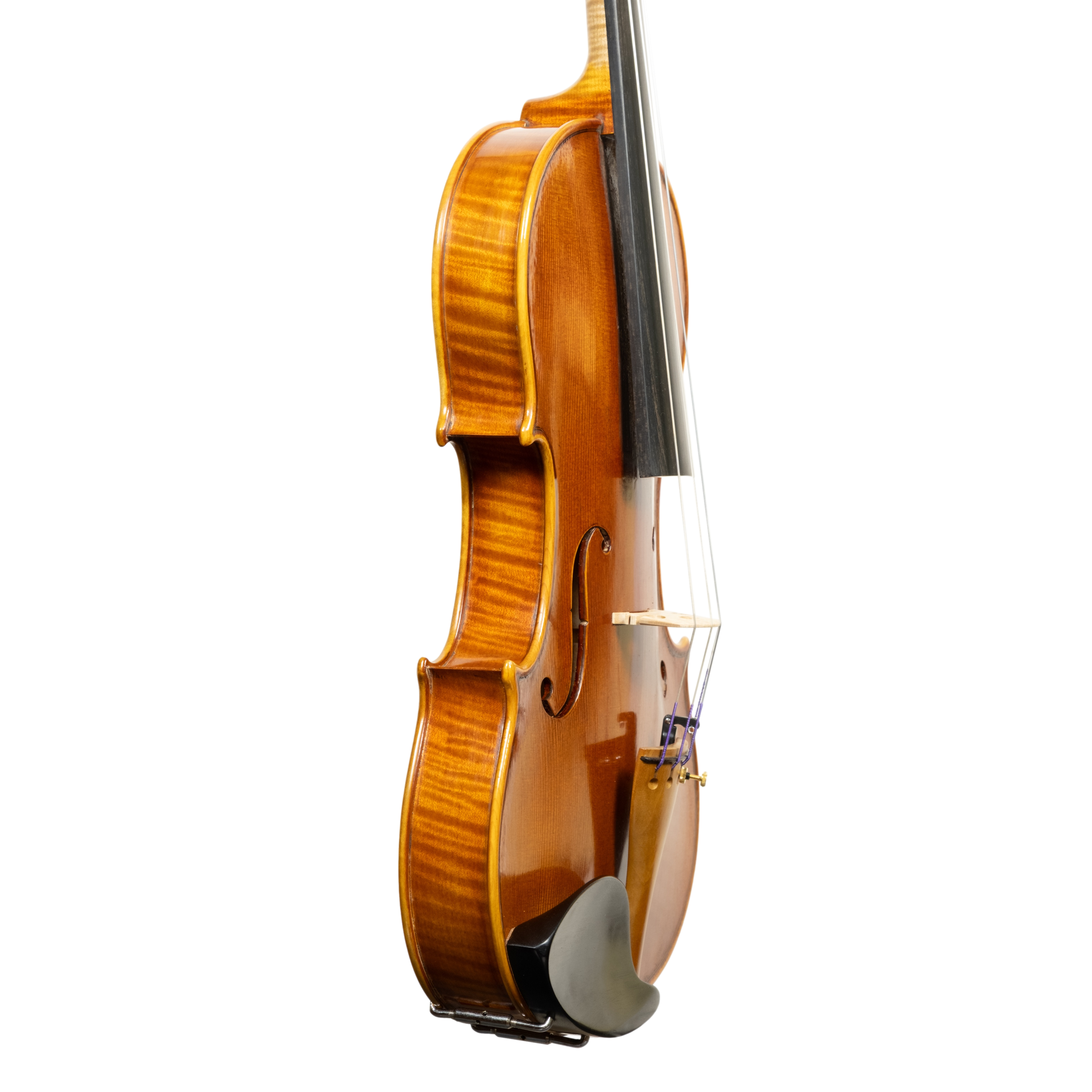 Violin - Linea Macchi, Stradivari Cremona 2025 B