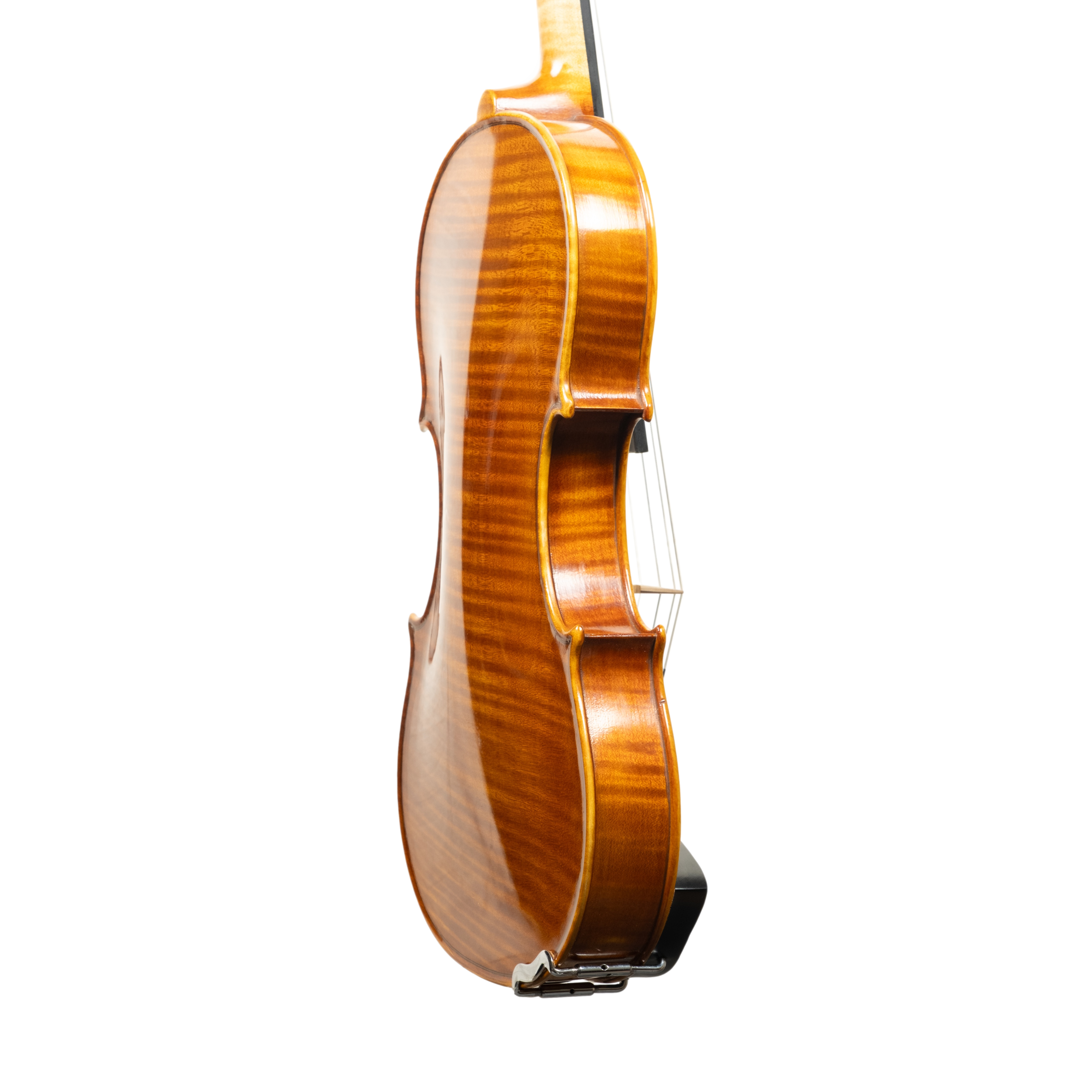 Violin - Linea Macchi, Guarneri "Cannone" 2026 Adige
