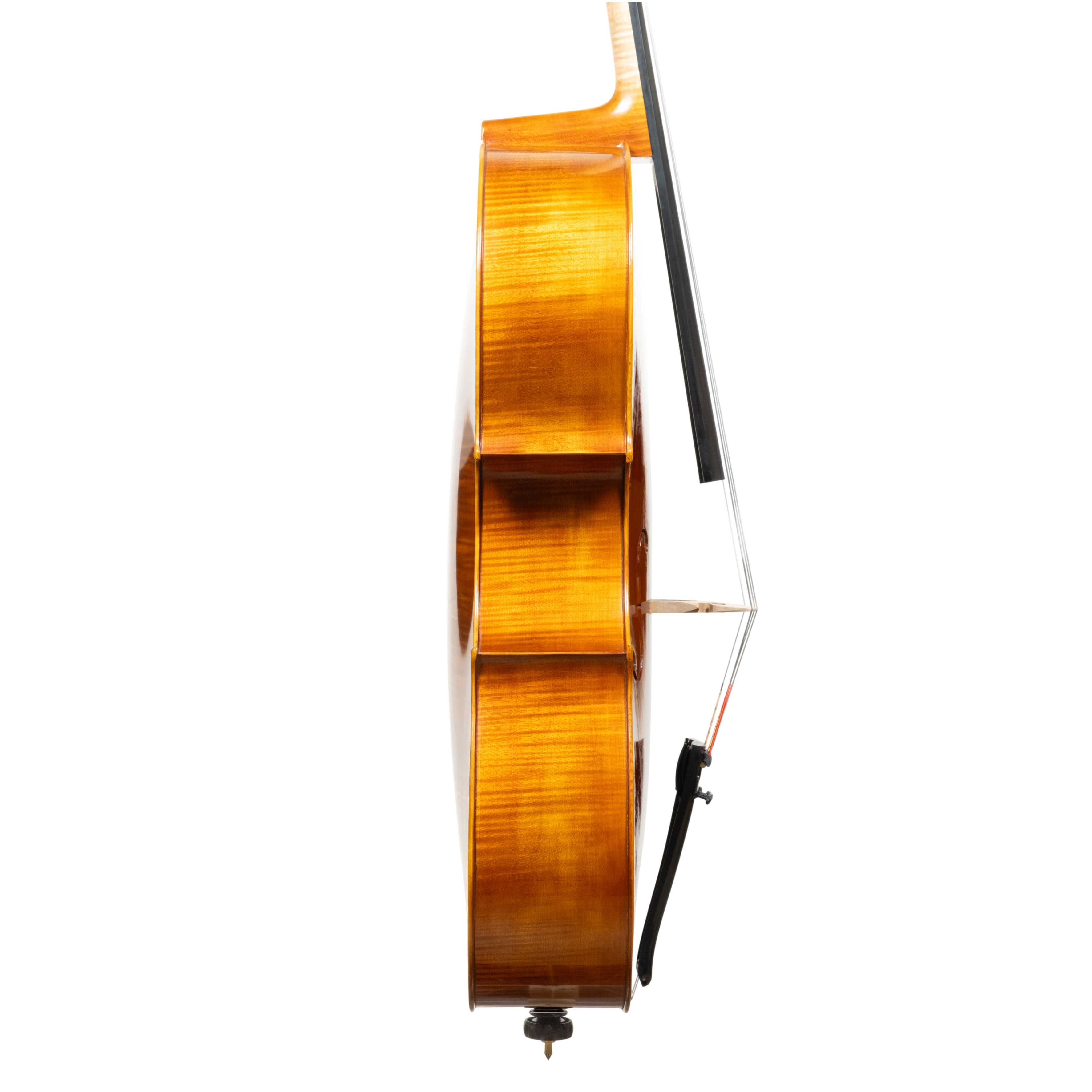 Cello - Linea Macchi, Domenico Montagnana "Sleeping Beauty", Cremona 2026