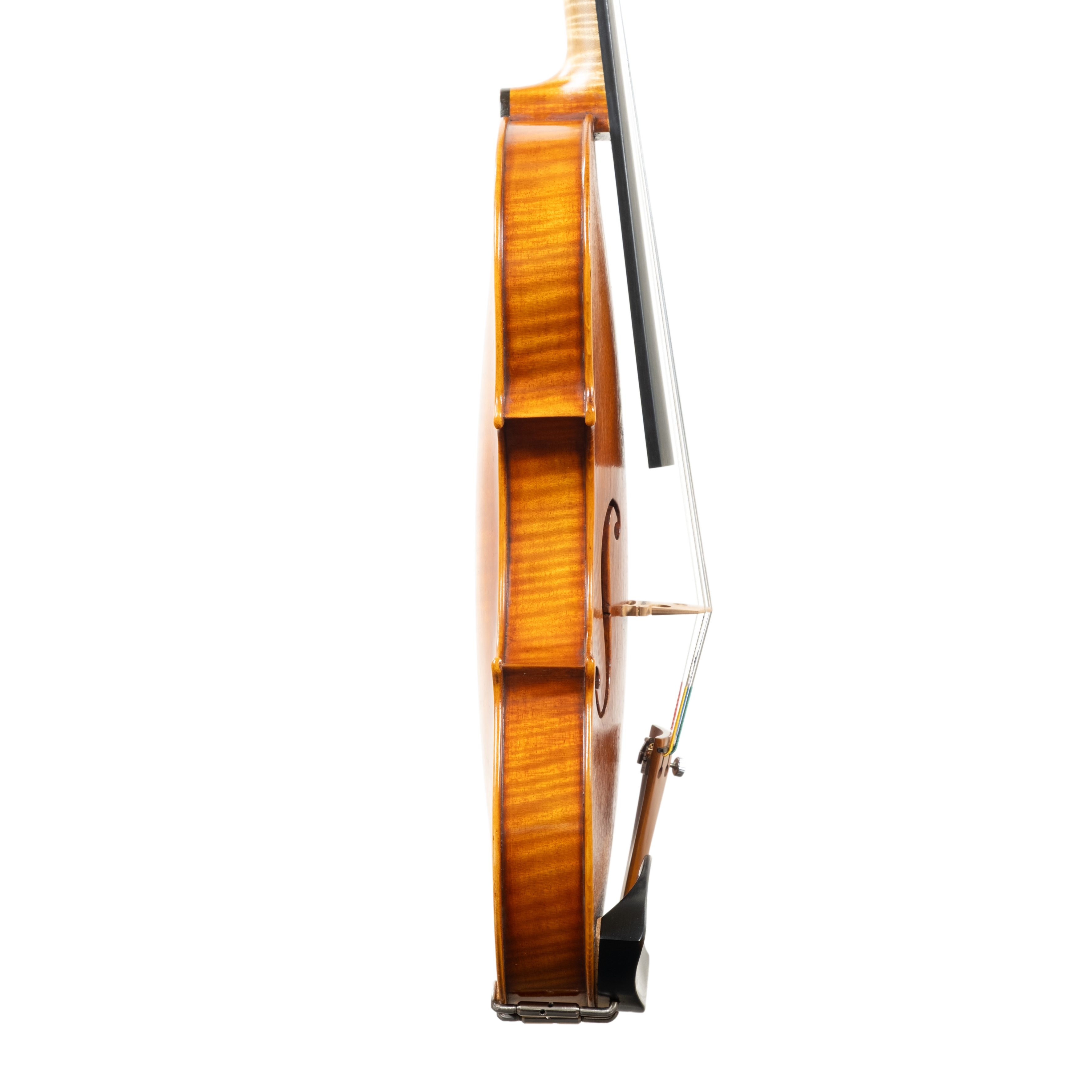 Violin - Mina Mazzolari, Guarneri del Gesú "Ole Bull", Cremona 2026