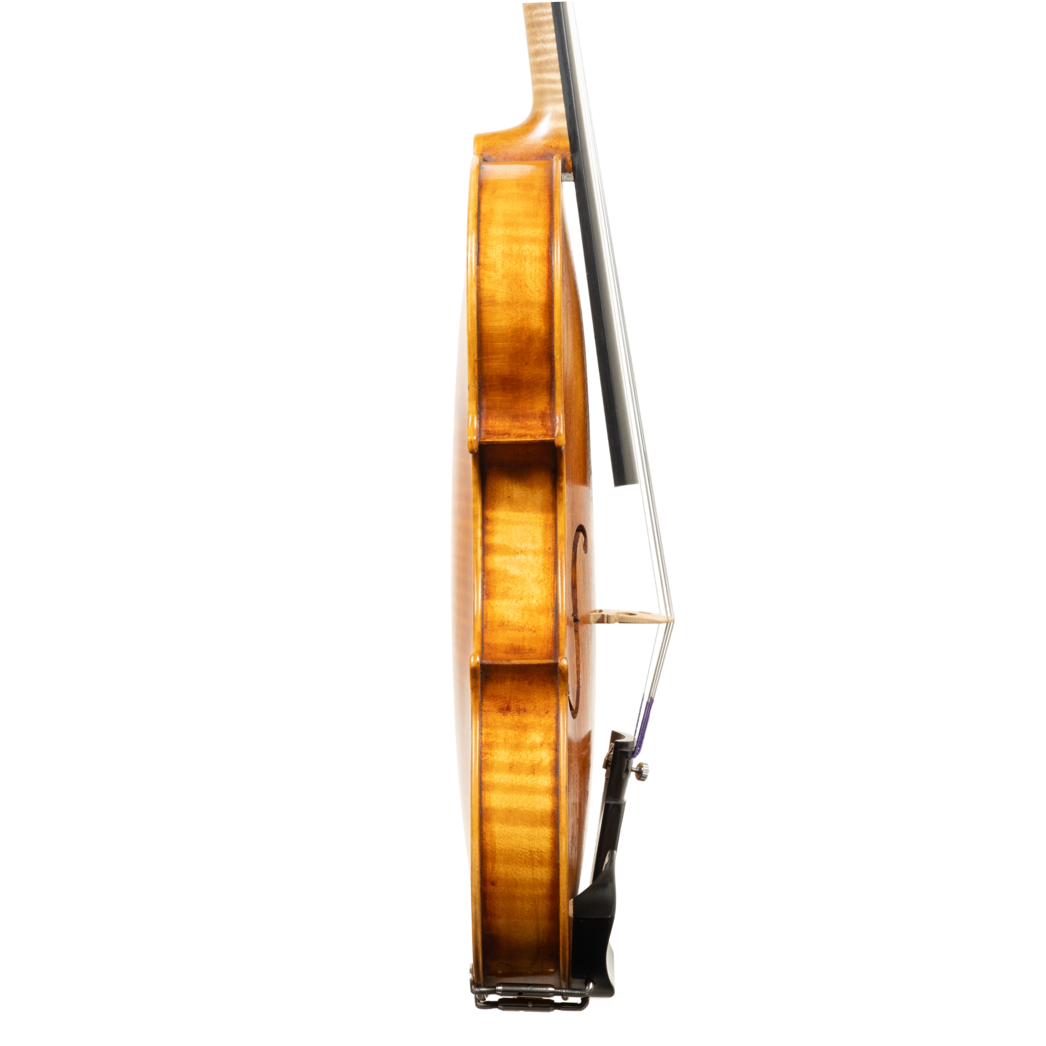 Violin - Stefano Guerreschi, mod. Carlo Antonio Testore, Cremona 2025