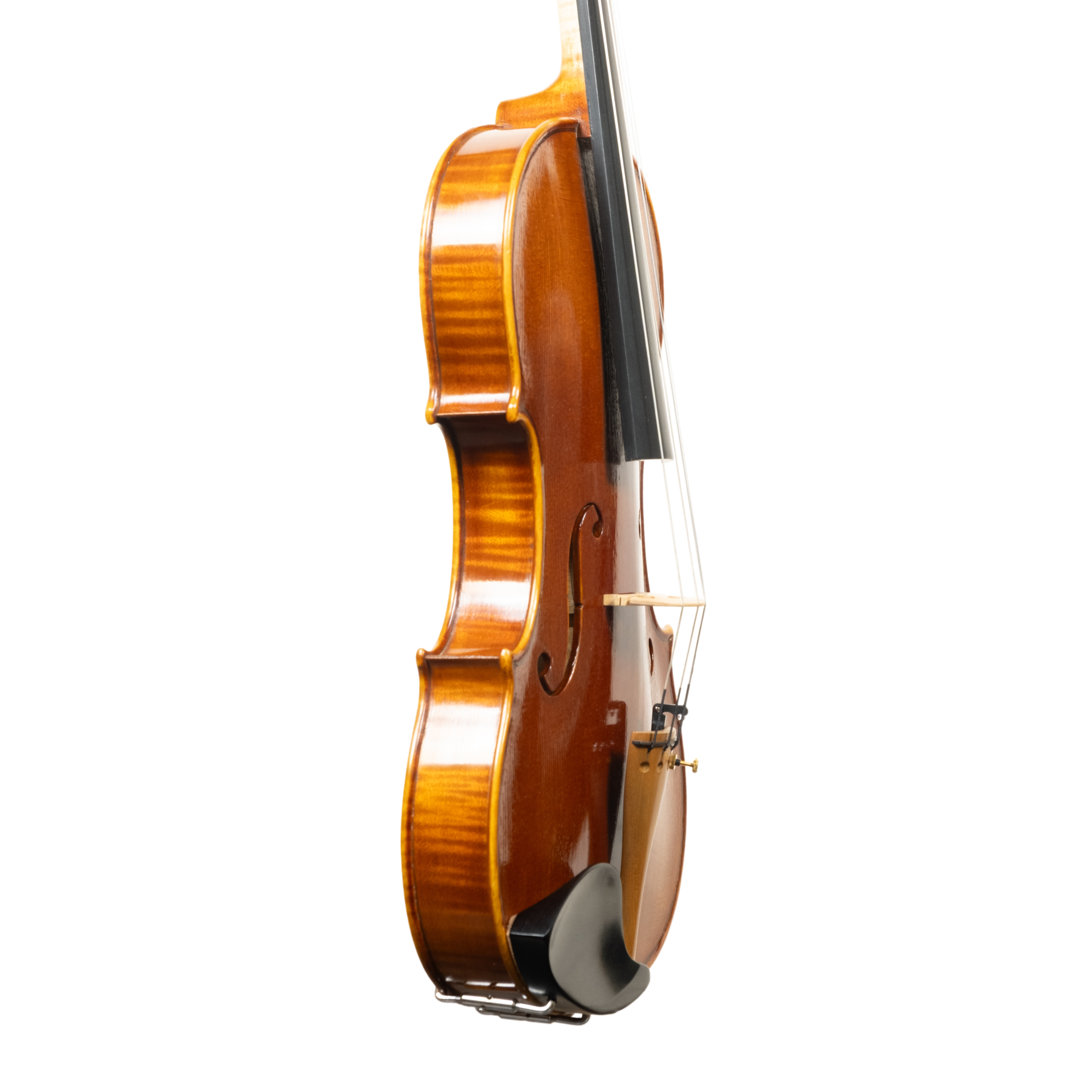 Violin - Linea Macchi, Guarneri "Lord Wilton" 2026 Avisio
