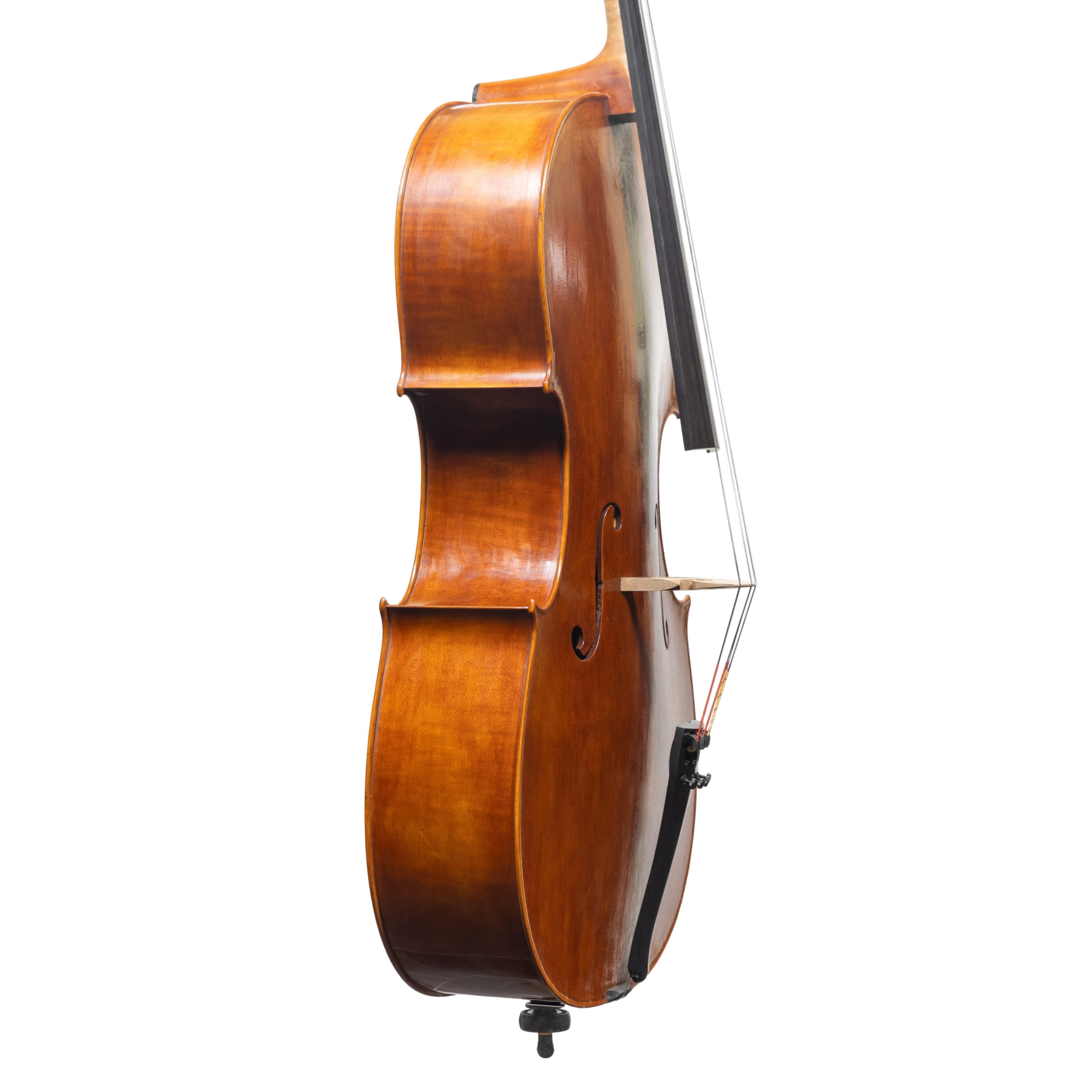Cello - Mina Mazzolari, Matteo Goffriler, Cremona 2025