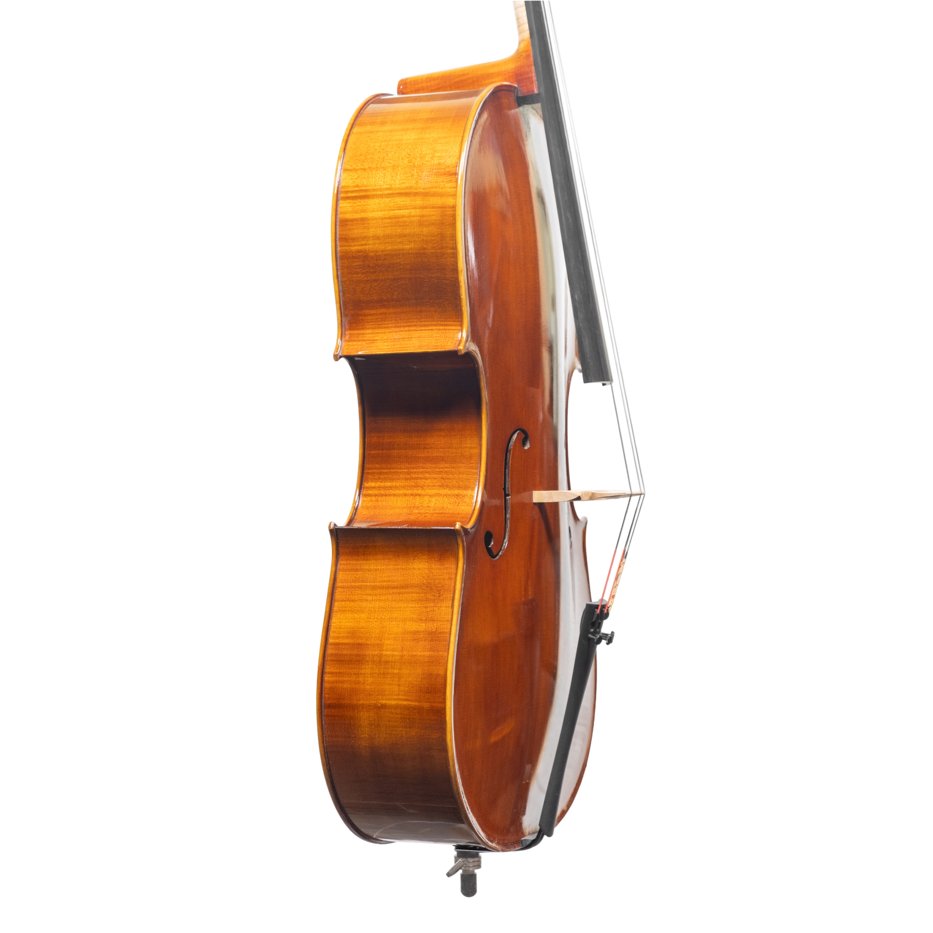 Cello - Scala Perfetta, Montagnana, Cremona 2025 "CIMA TOSA"