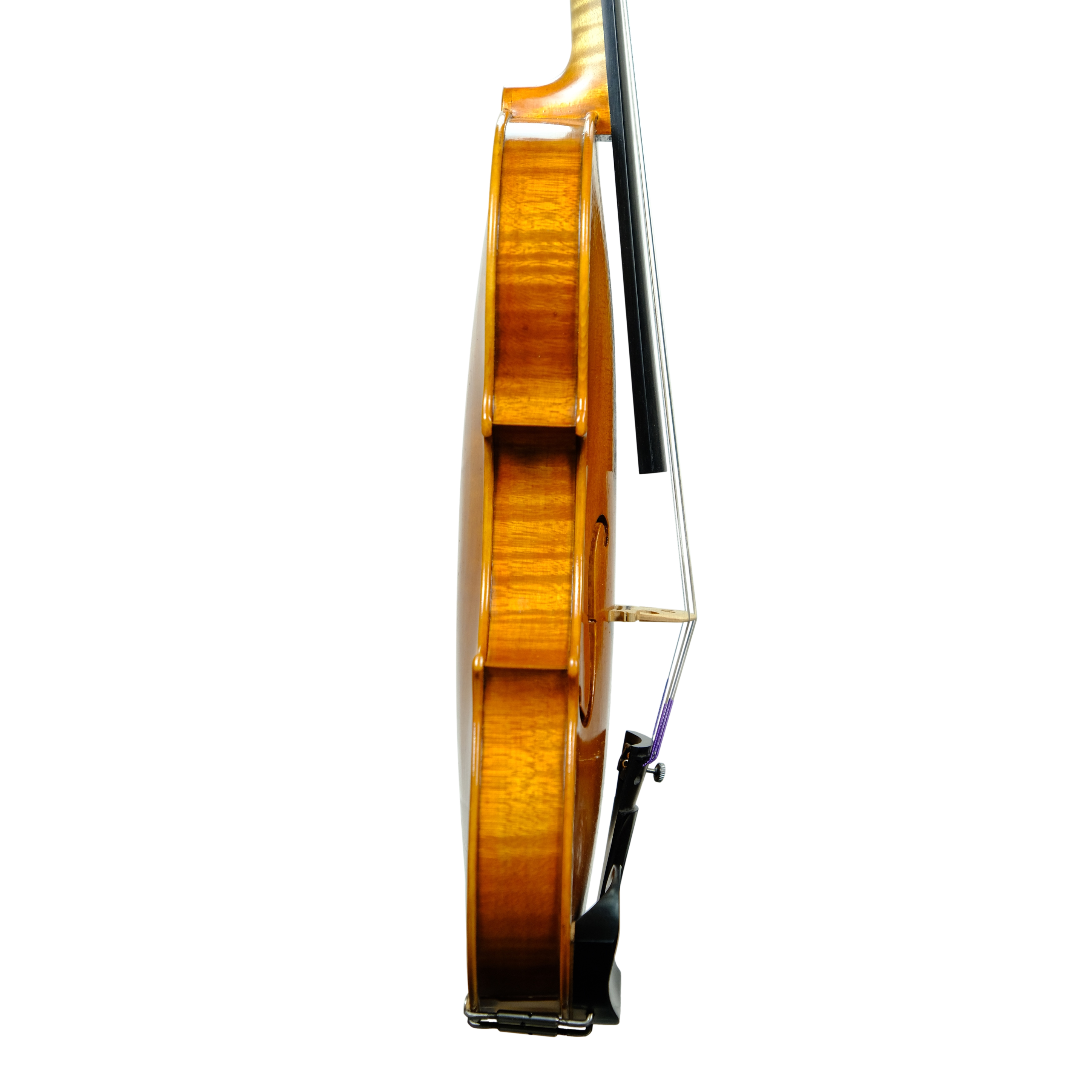Violin - Marco Dotti, copy of Carlo Antonio Testore, Cremona 2024