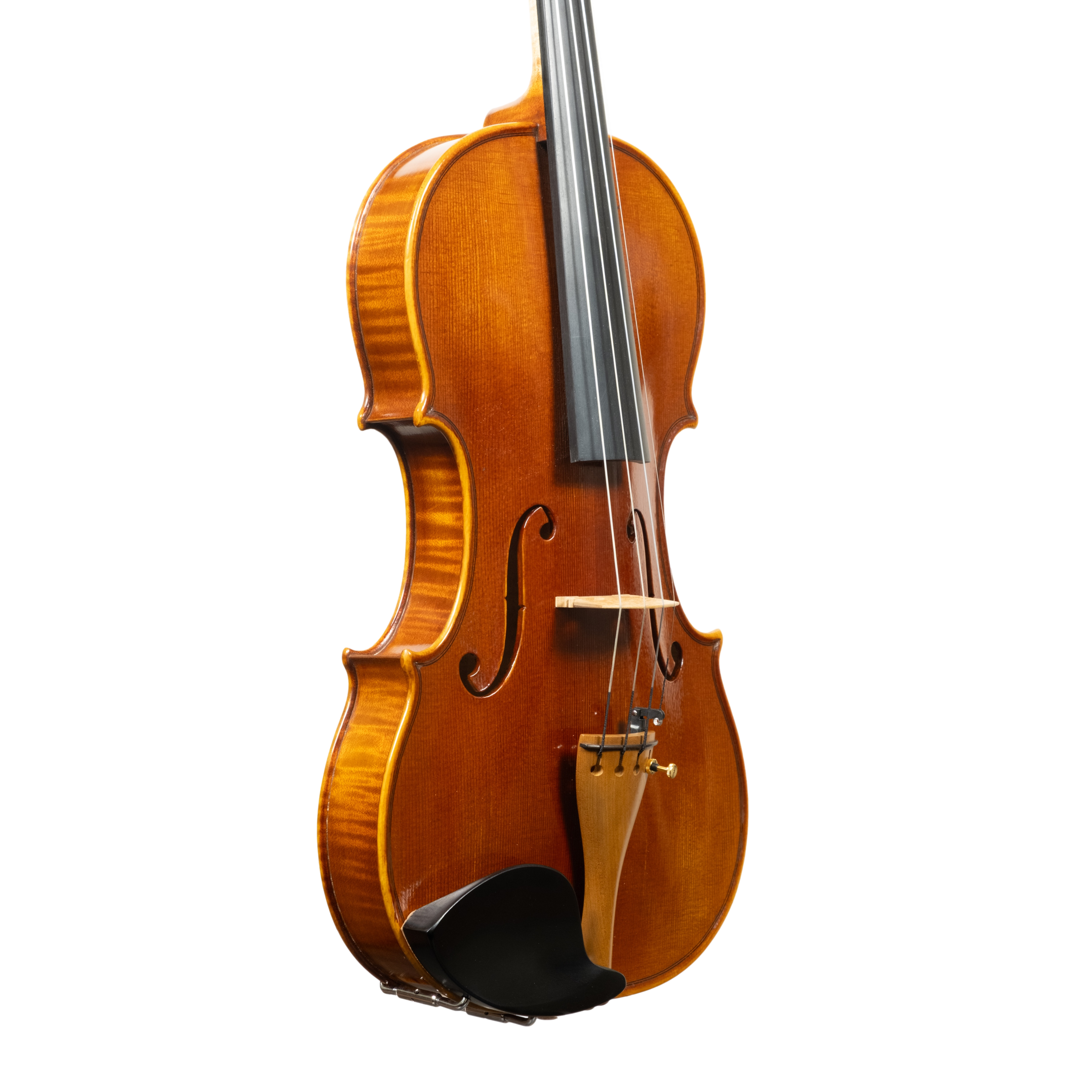 Violin - Linea Macchi, Guarneri "Lord Wilton" 2026 Avisio