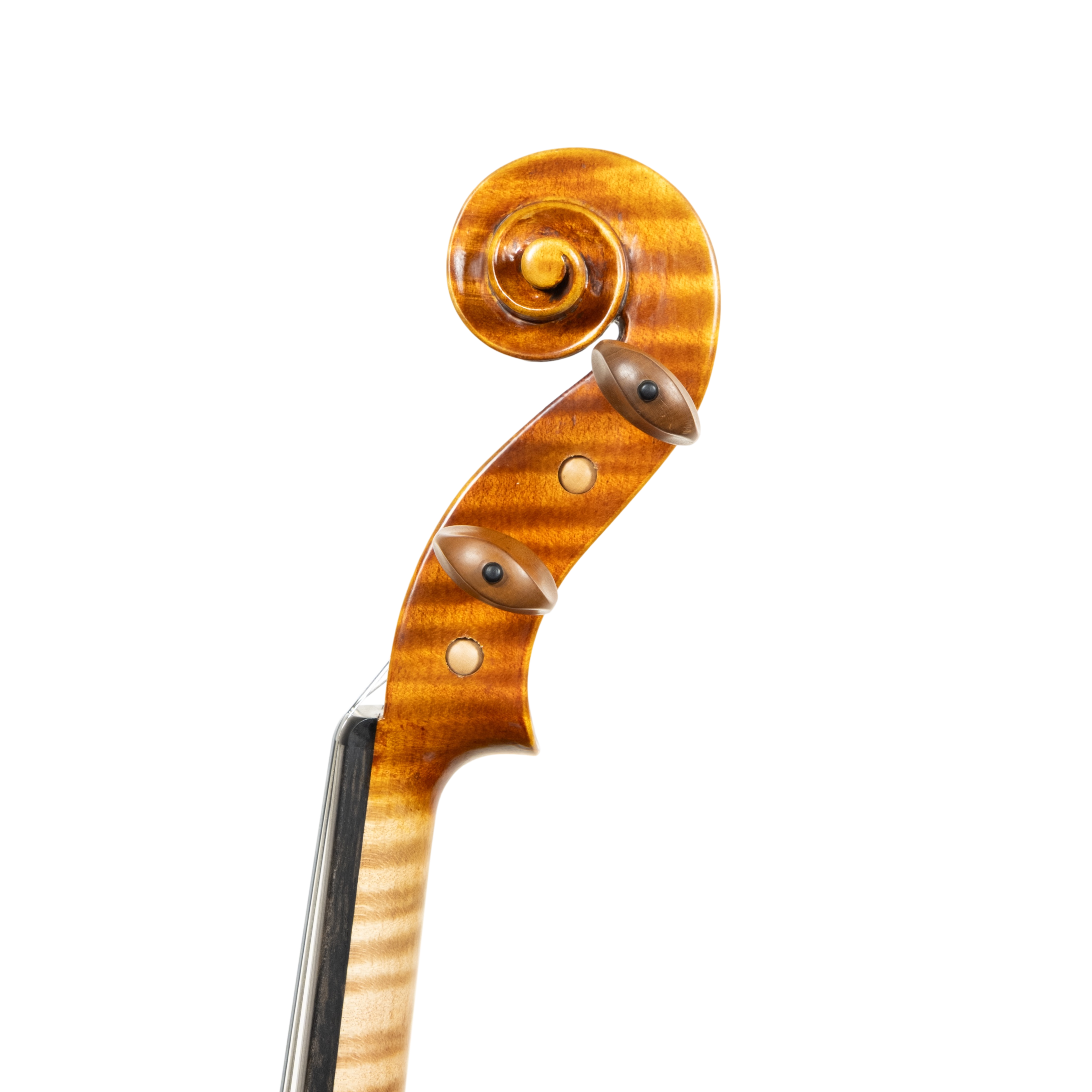 Violin - Linea Macchi, Stradivari Cremona 2025 B