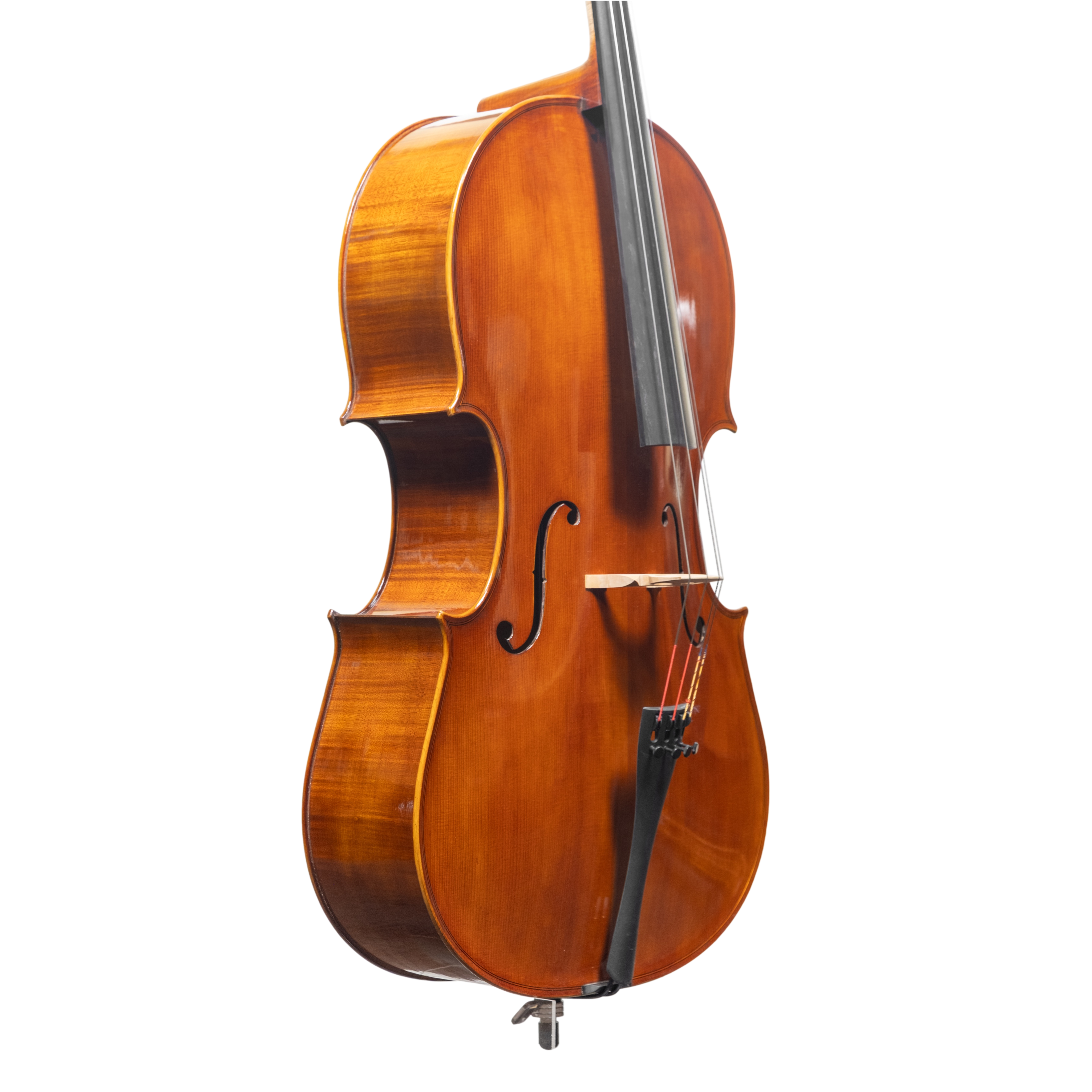 Cello - Scala Perfetta, Montagnana, Cremona 2025 "CIMA TOSA"