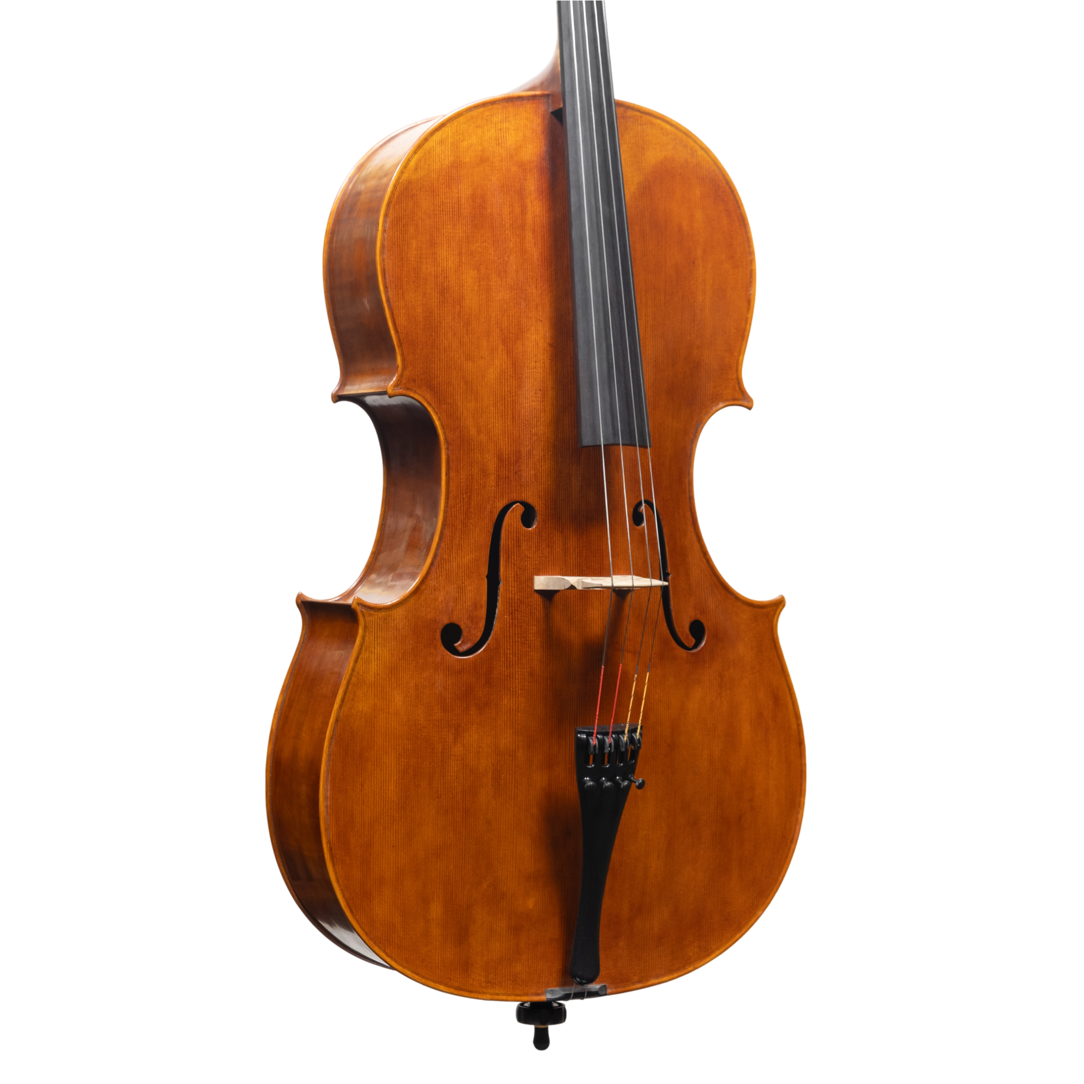 Cello - Mina Mazzolari, Matteo Goffriler, Cremona 2025