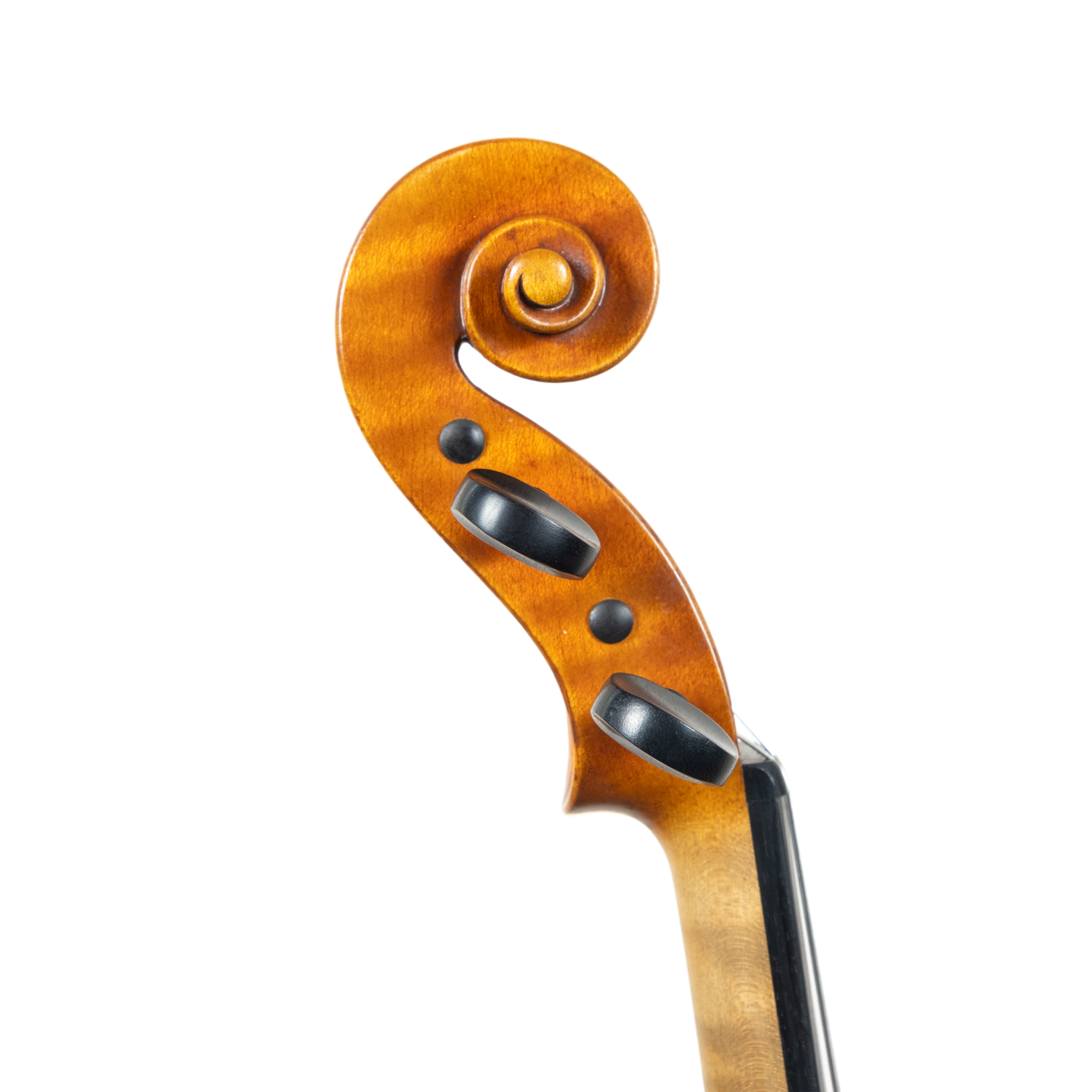 Violin - Arianna Endo, Stradivari "Il Cremonese", Cremona 2026