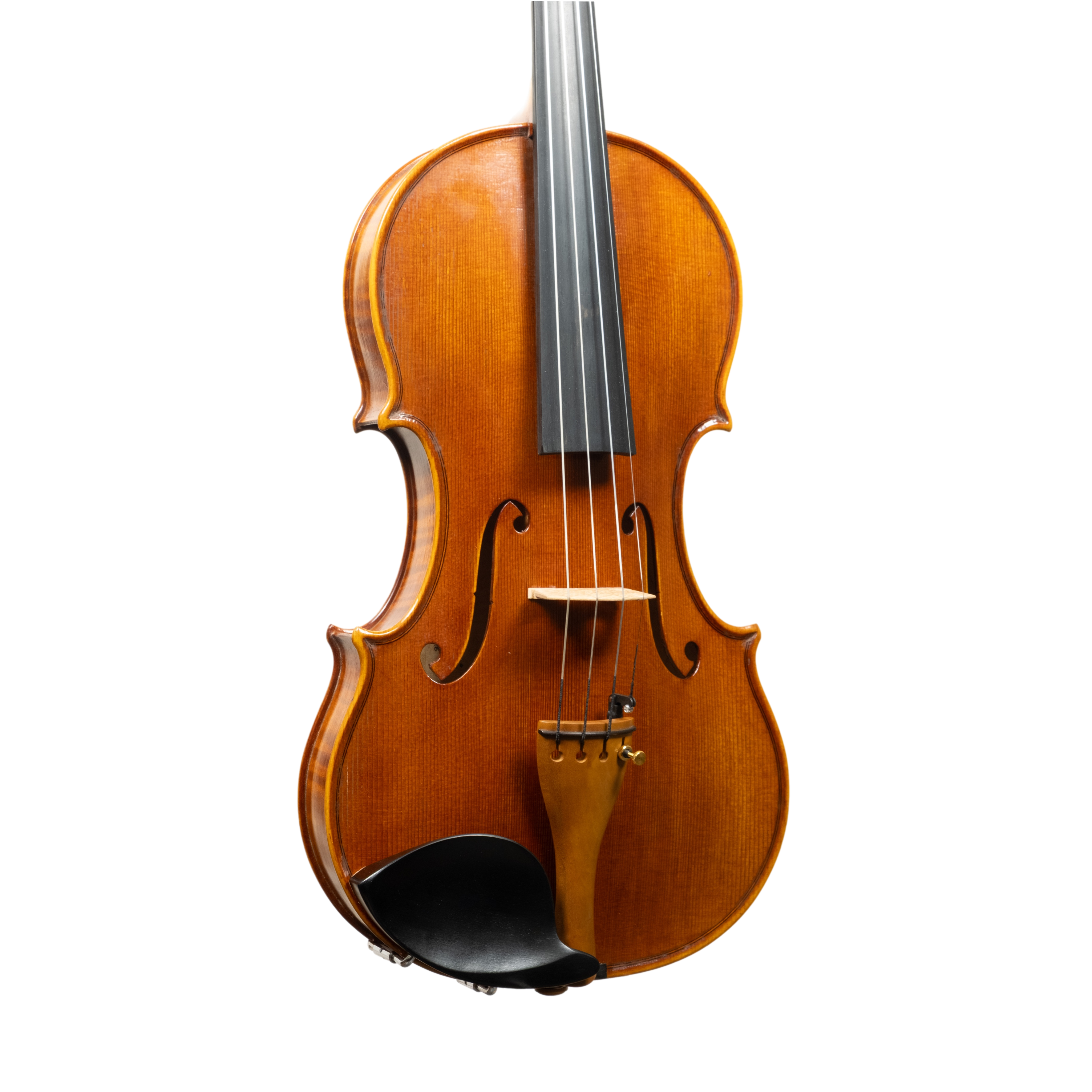 Violin - Linea Macchi, Guarneri "Cannone" 2026 Adige