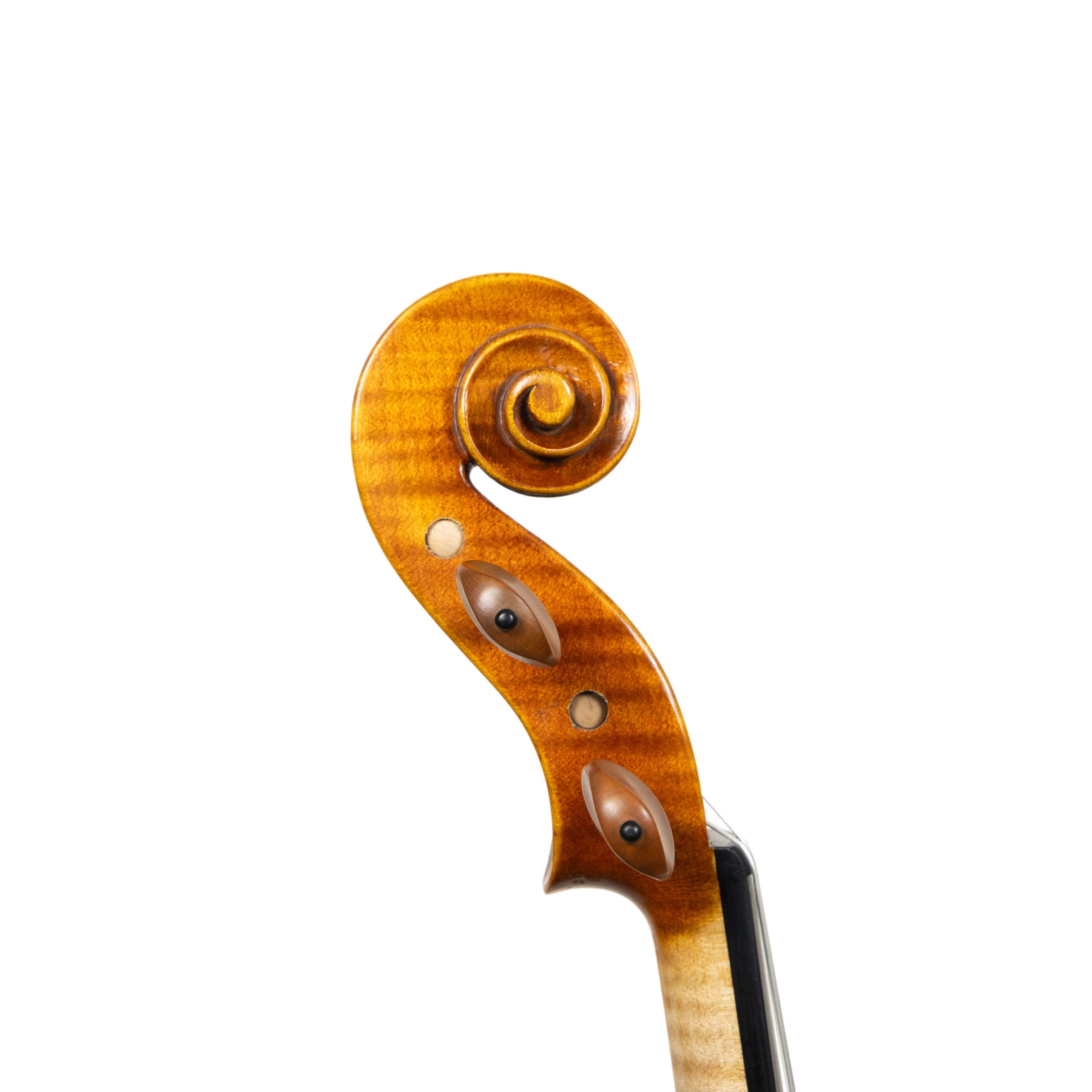 Violin - Linea Macchi, Guarneri "Lord Wilton" 2026 Avisio