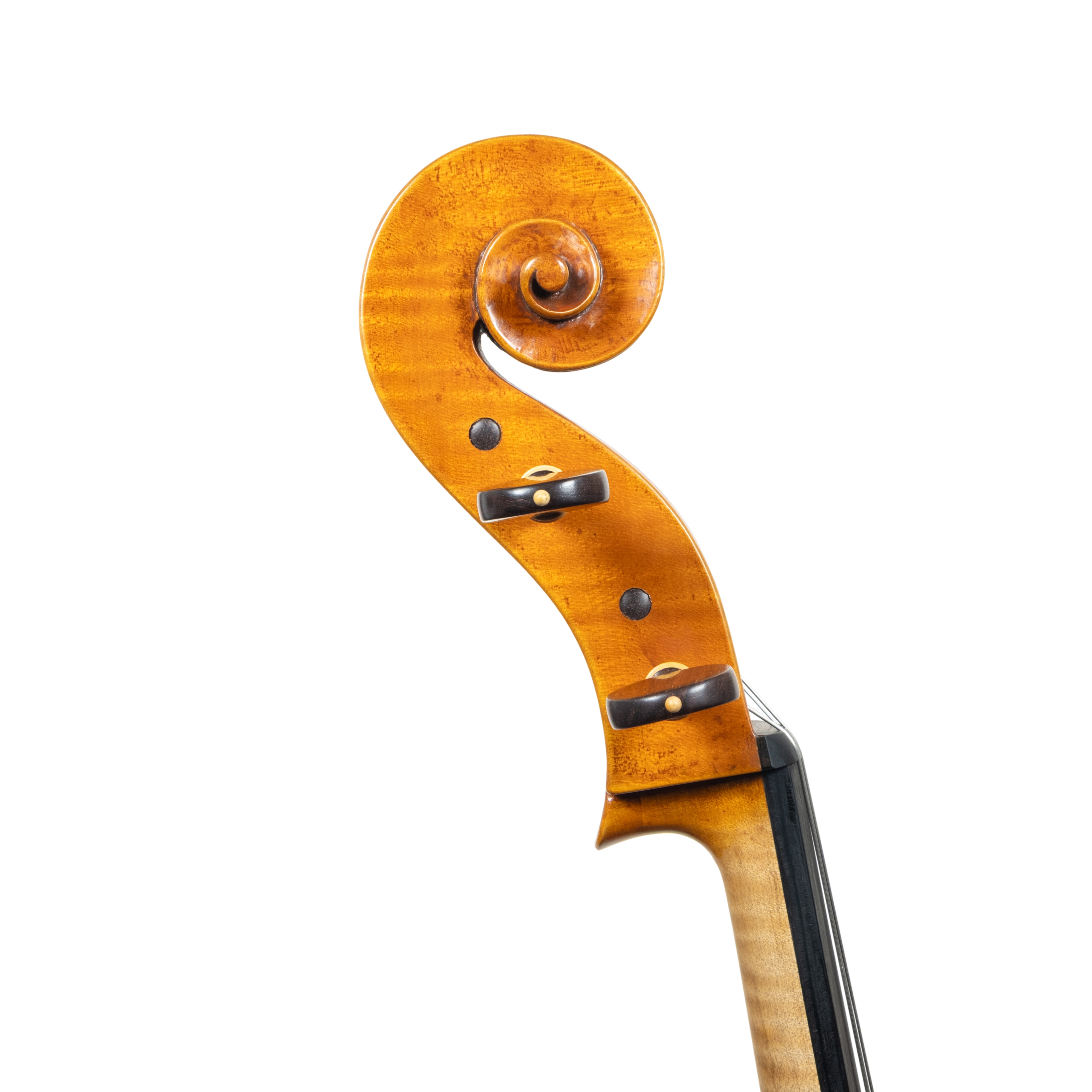 Cello - Edgar Russ, Francesco Ruggeri, Cremona 2026