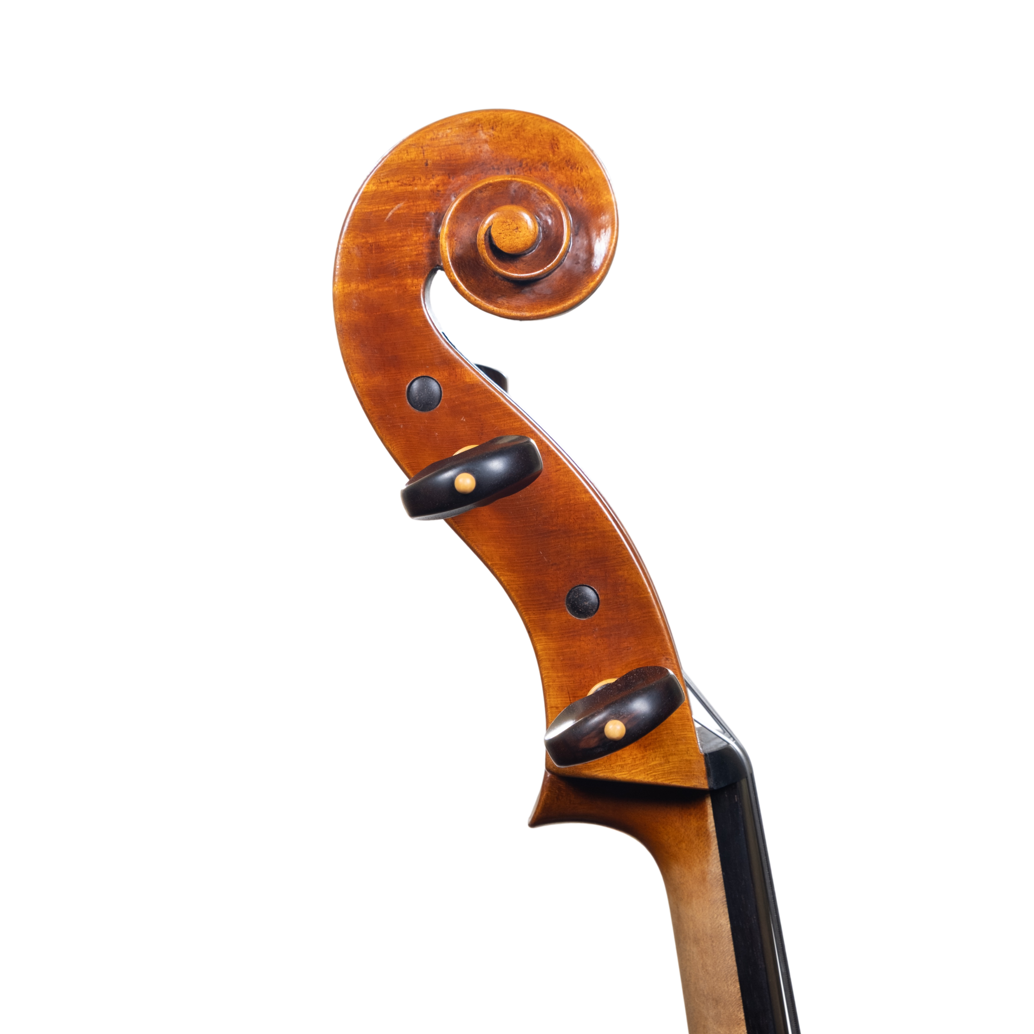 Cello - Mina Mazzolari, Matteo Goffriler, Cremona 2025