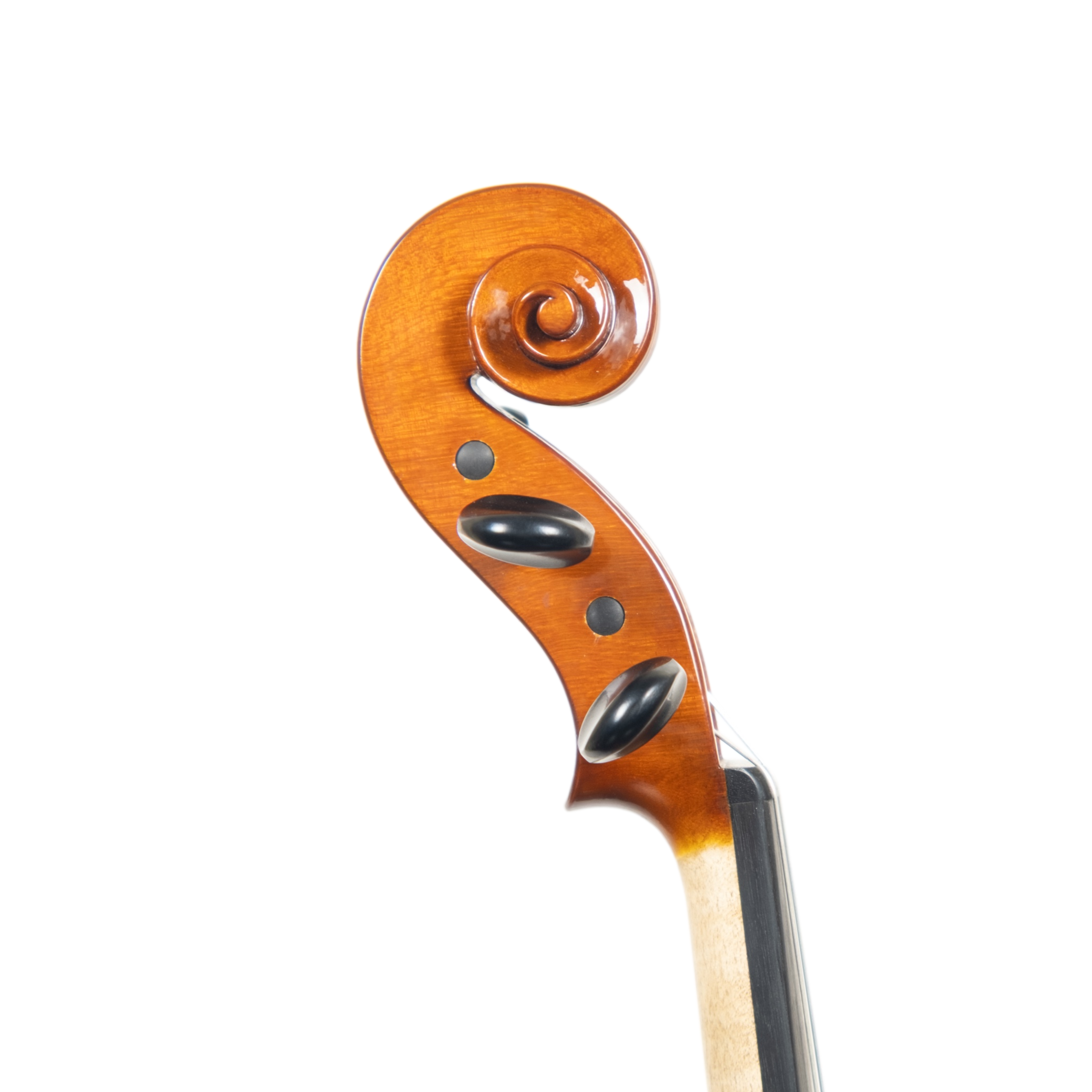 Violin - Arianna Endo, Amati, Cremona 2024