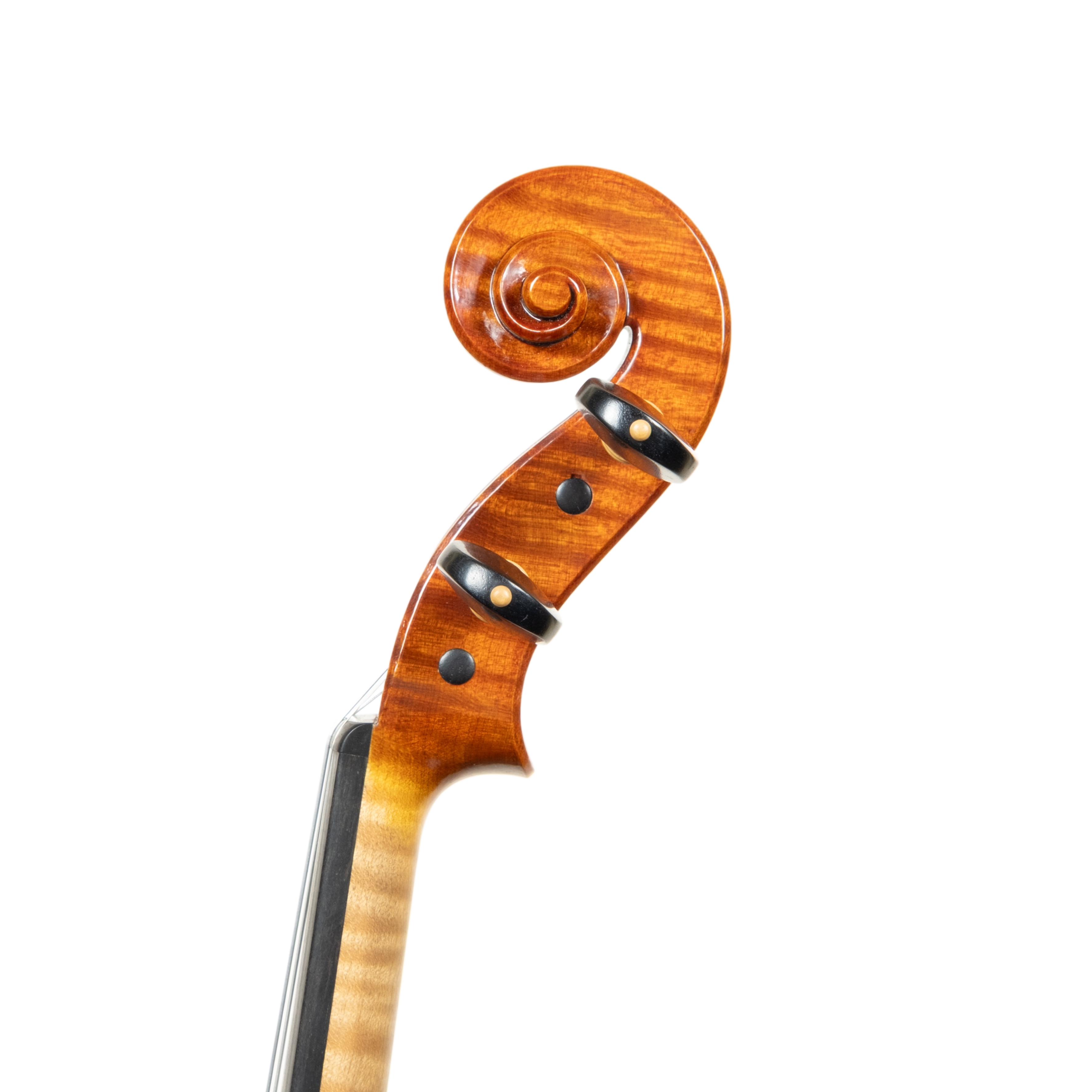 Violin - Gio Park, Stradivari, Cremona 2025