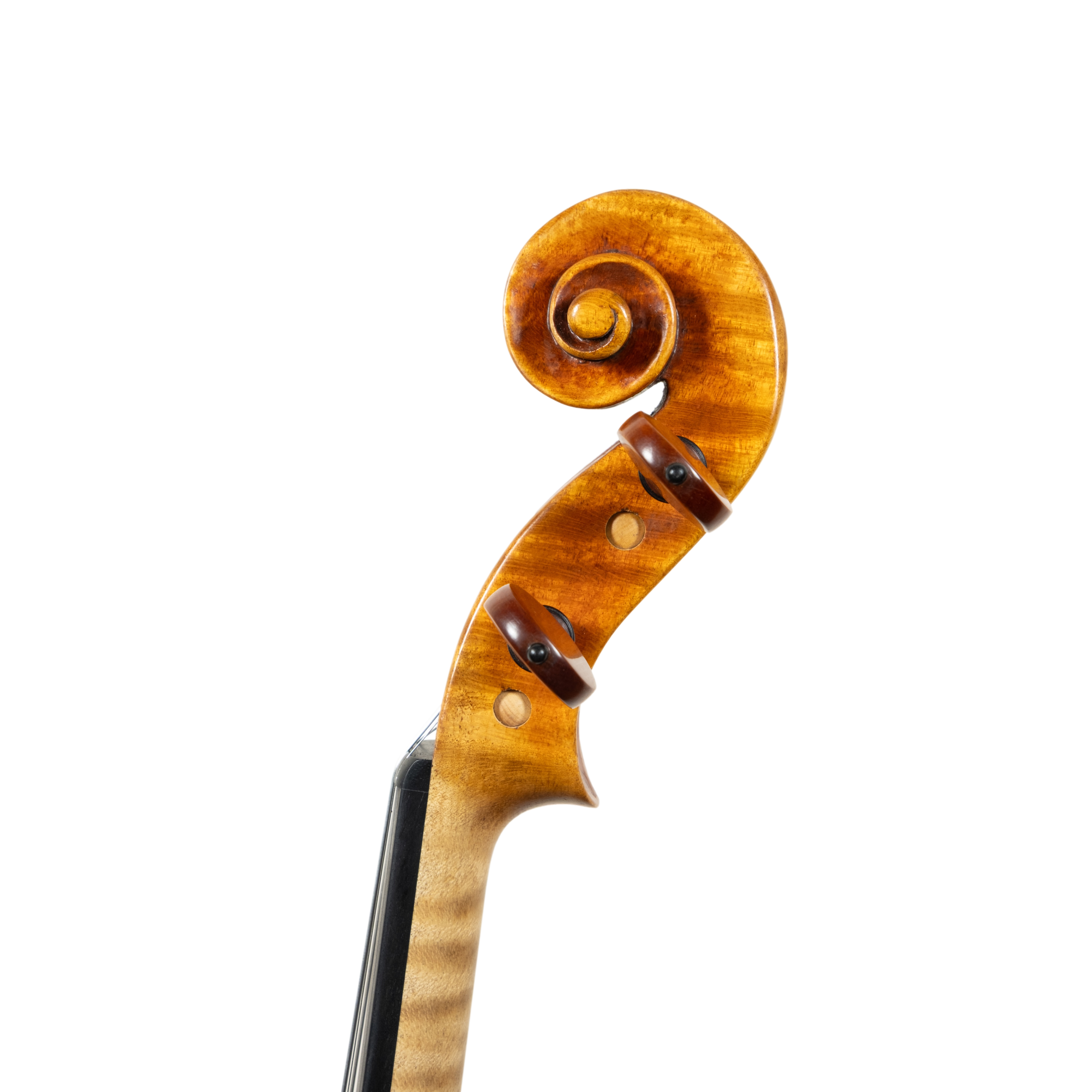 Violin - Mina Mazzolari, Copy of Guarneri del Gesú "Heifetz", Cremona 2026