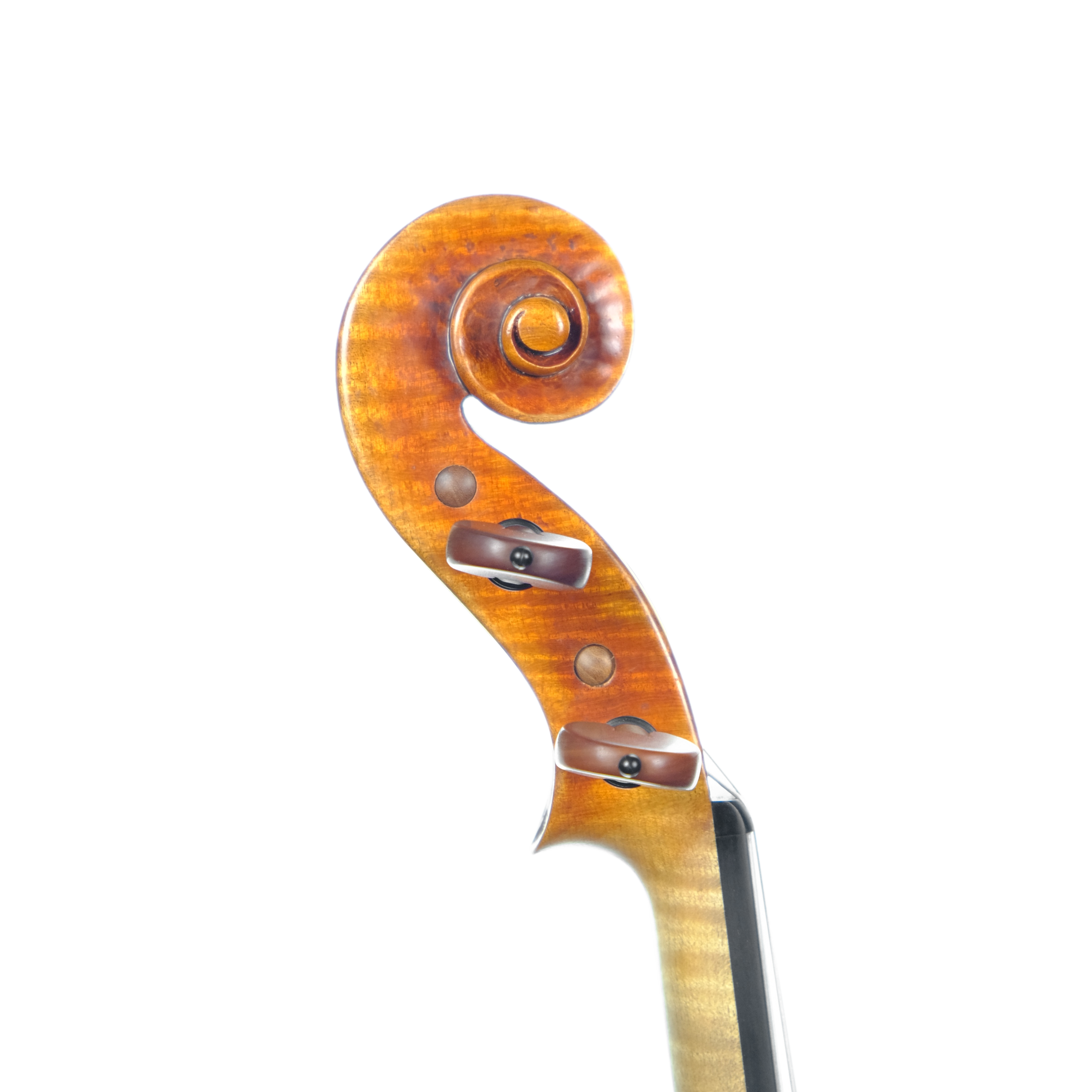 Violin - Mina Mazzolari, Copy of Guarneri del Gesú "Heifetz", Cremona 2024