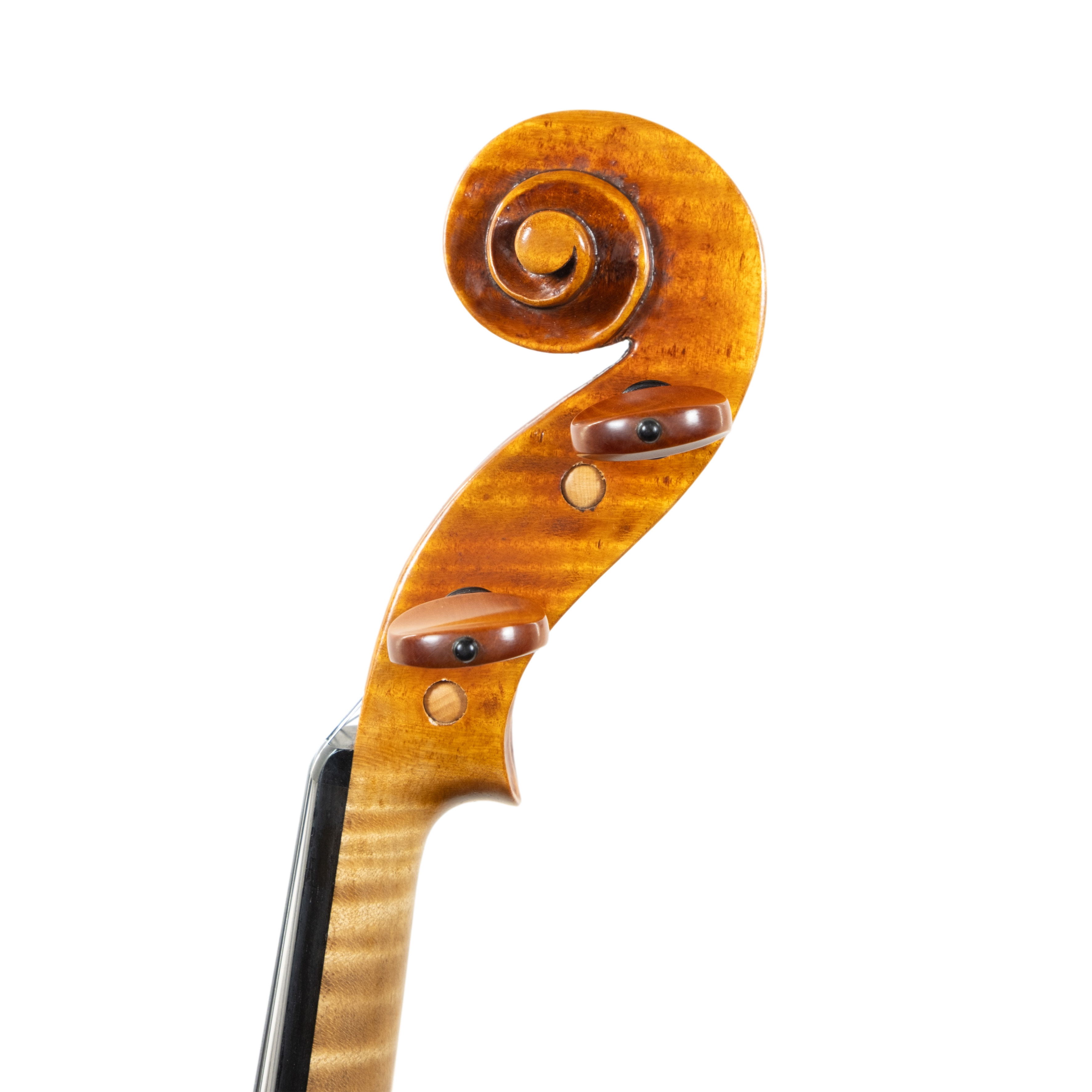 Violin - Mina Mazzolari, Guarneri del Gesú "Ole Bull", Cremona 2026