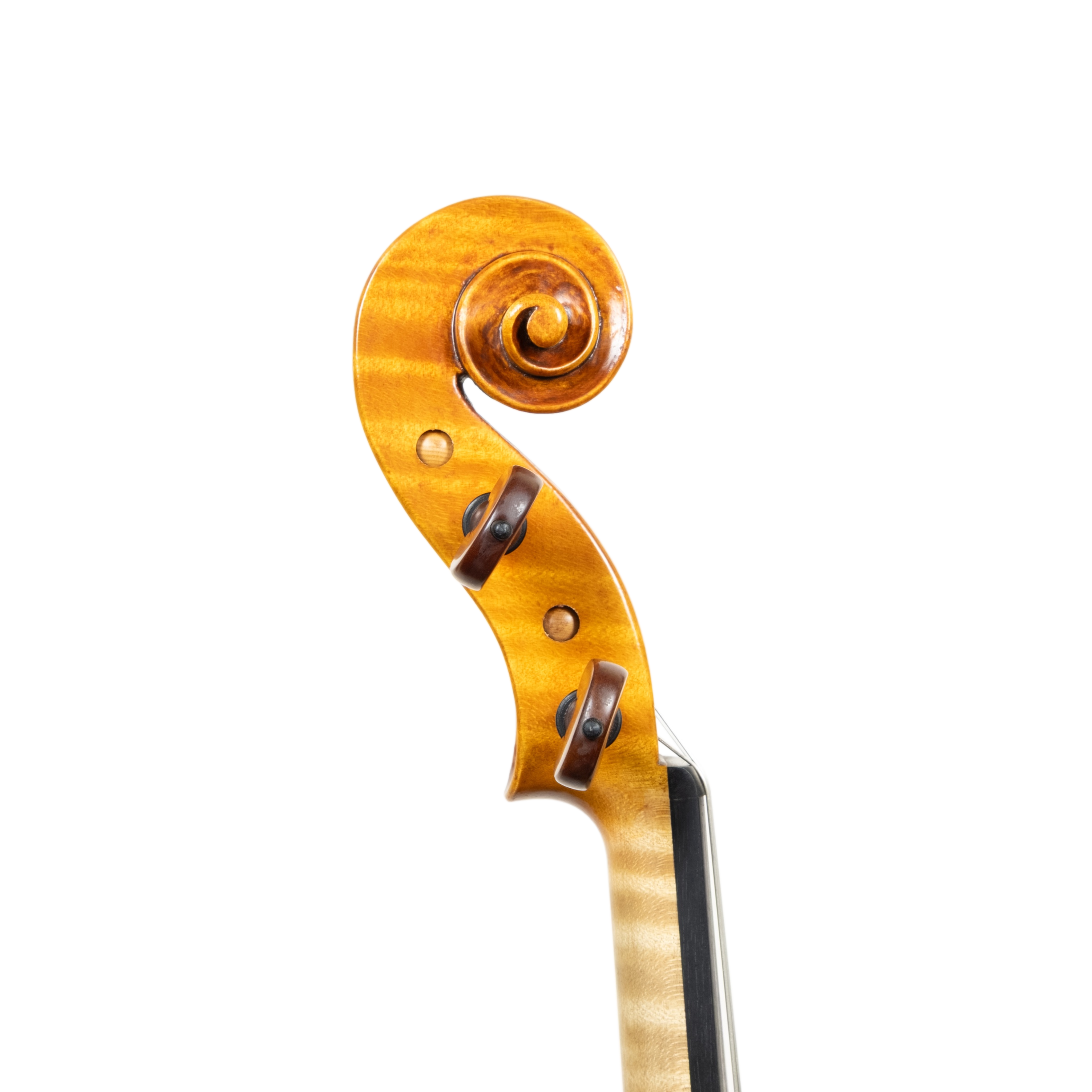 Violin - Stefano Guerreschi, Guarneri "Low Wilton", Cremona 2025