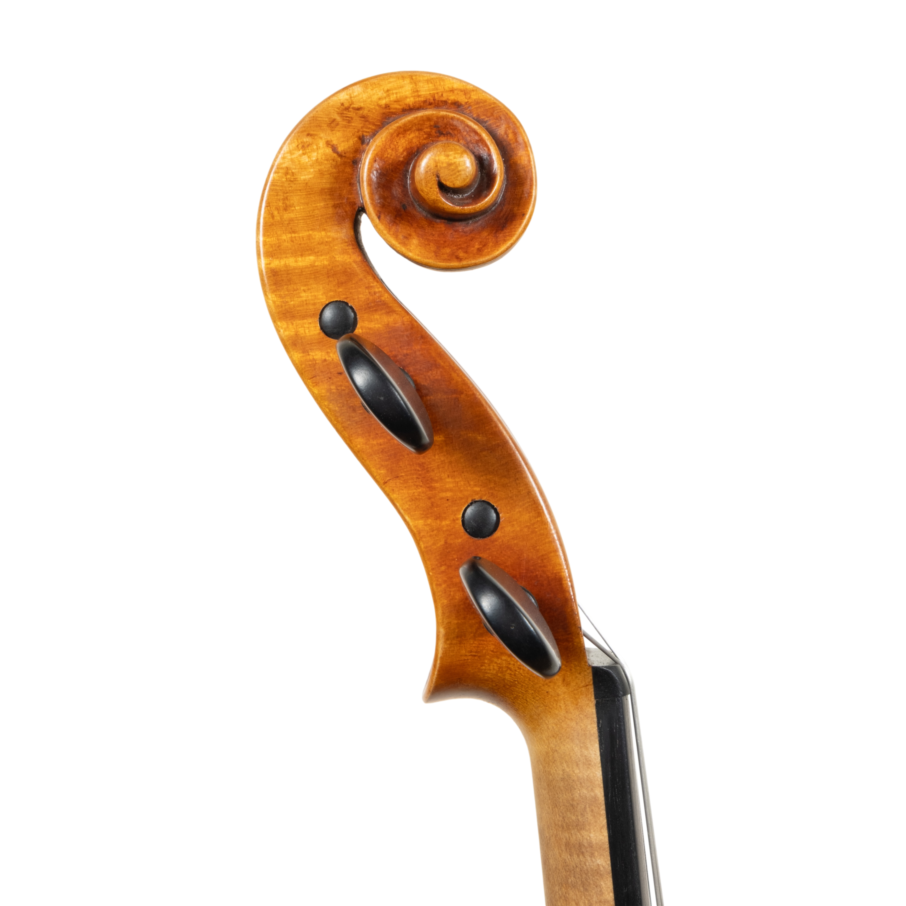 Violin - Stefano Guerreschi, mod. Carlo Antonio Testore, Cremona 2025