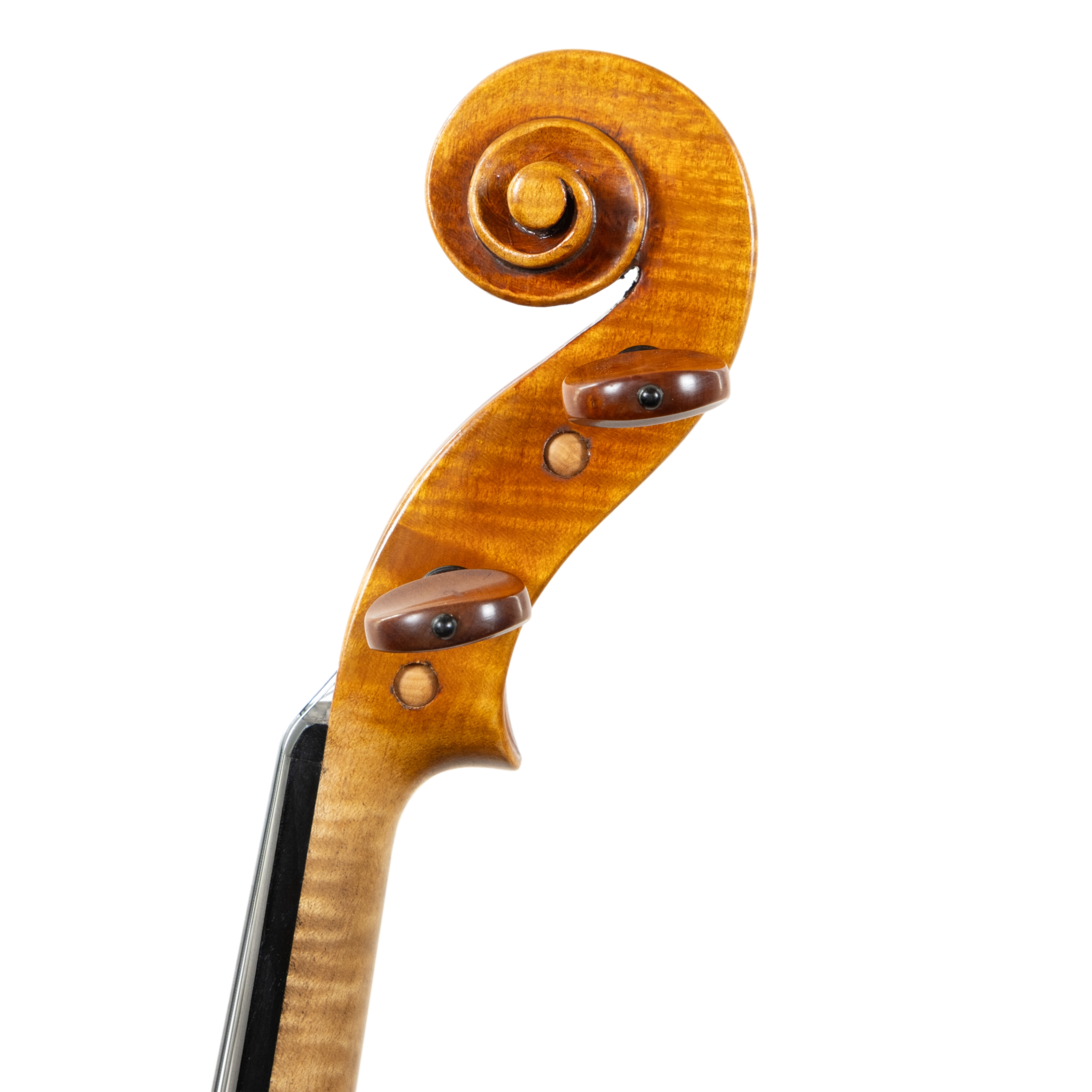 Violin - Stefano Guerreschi, mod. Guarneri del Gesù "Ysaye", Cremona 2026