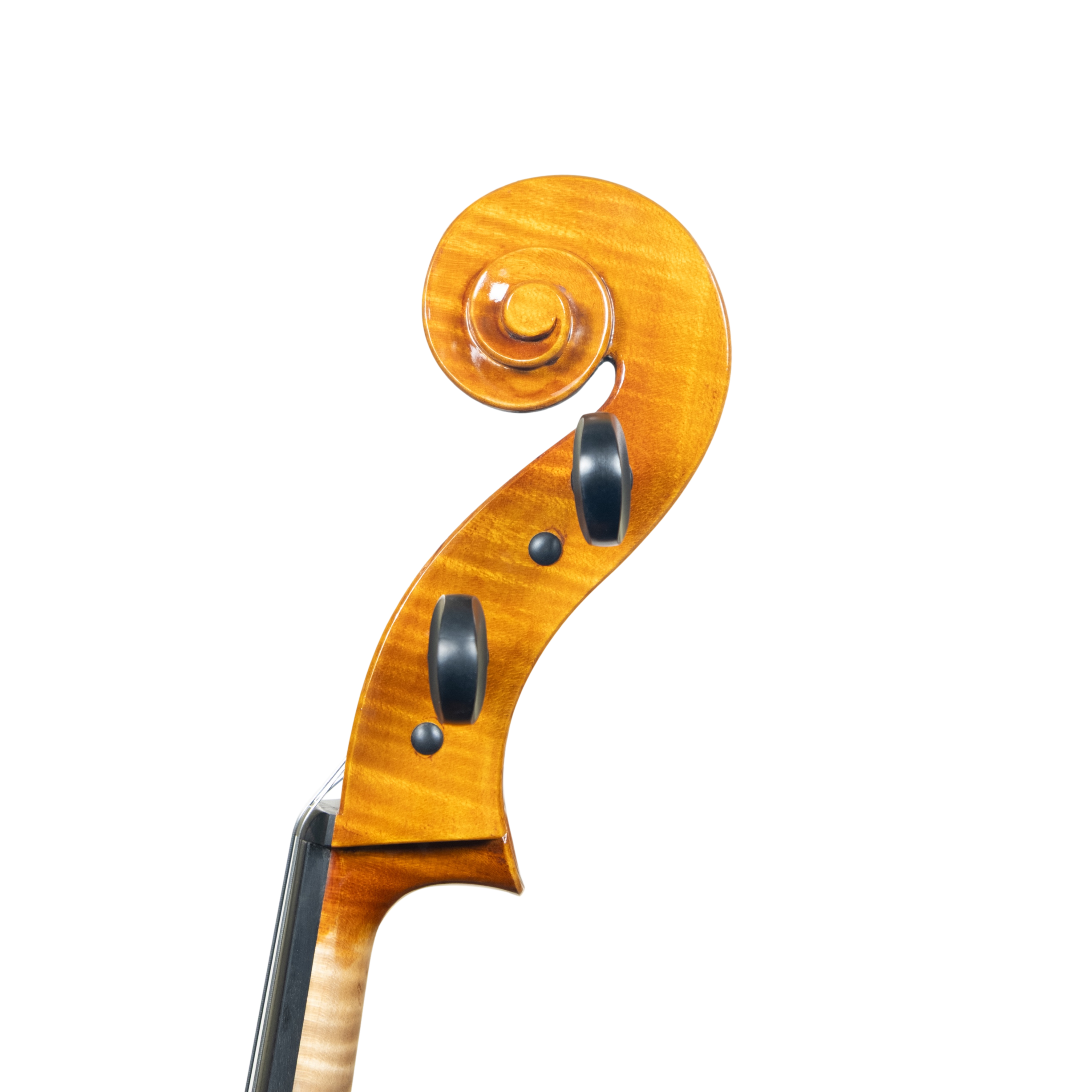 Cello - Scala Perfetta, Stradivari, Cremona 2025 "CEVEDALE"