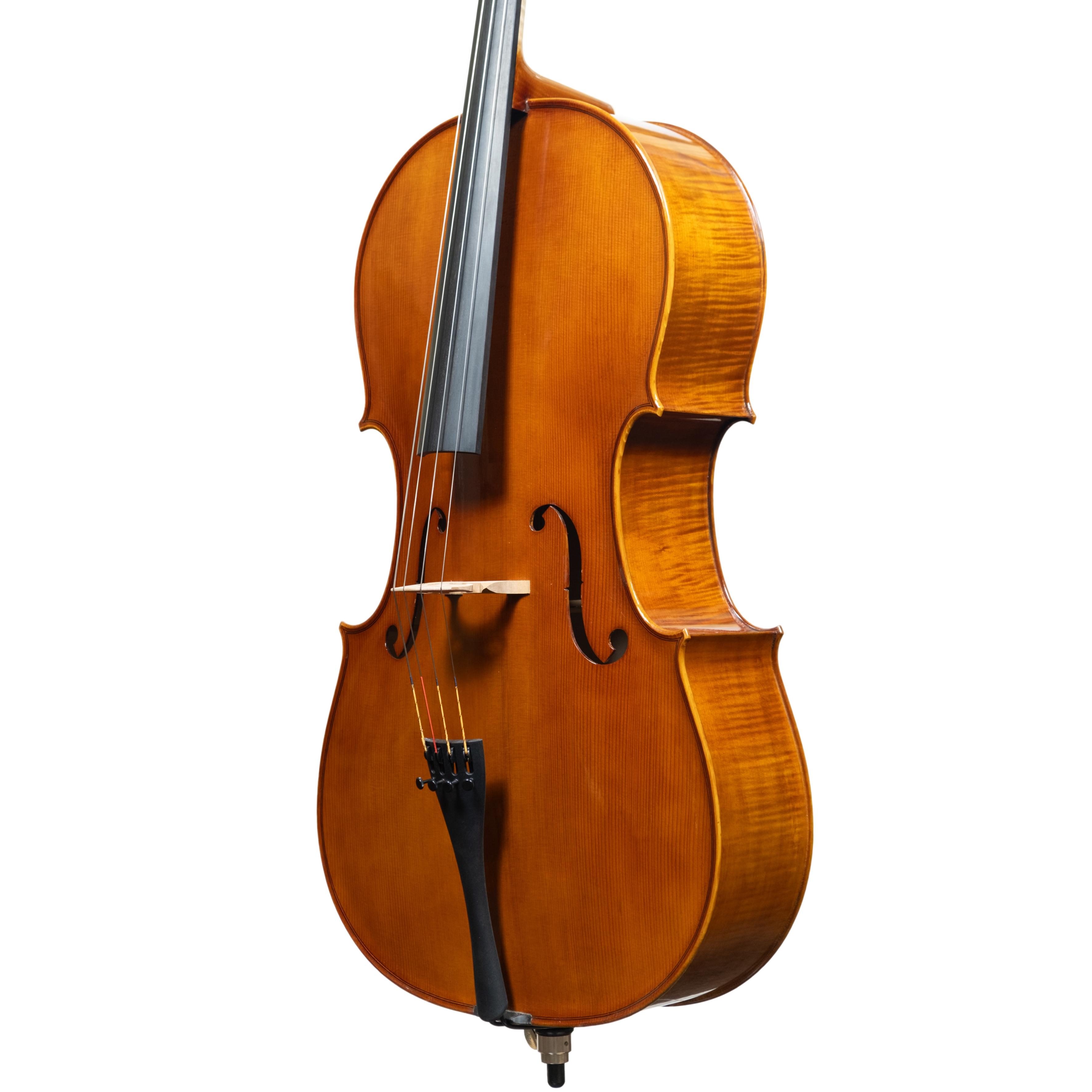 Cello - Scala Perfetta, Stradivari, Cremona 2025 "CEVEDALE"