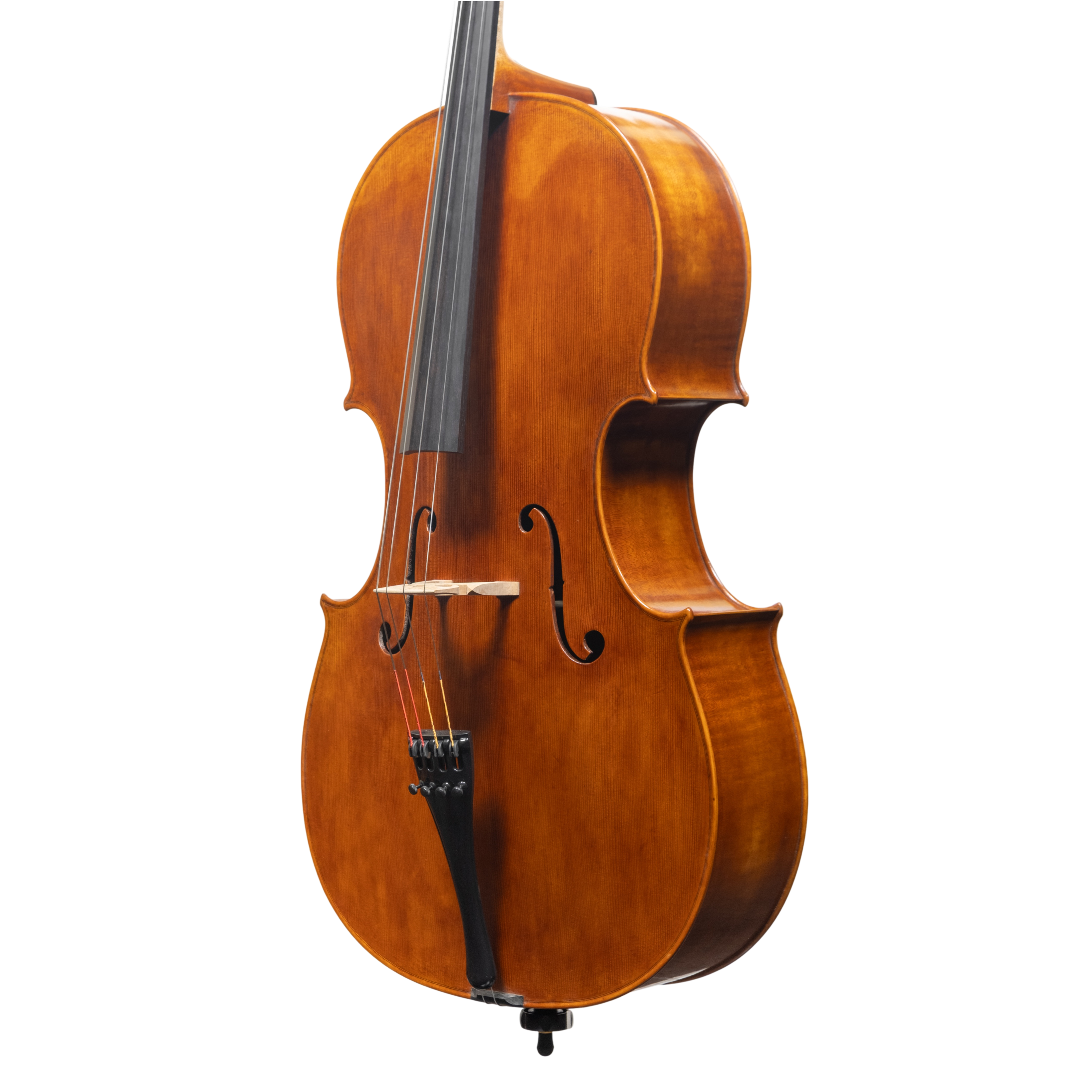 Cello - Mina Mazzolari, Matteo Goffriler, Cremona 2025
