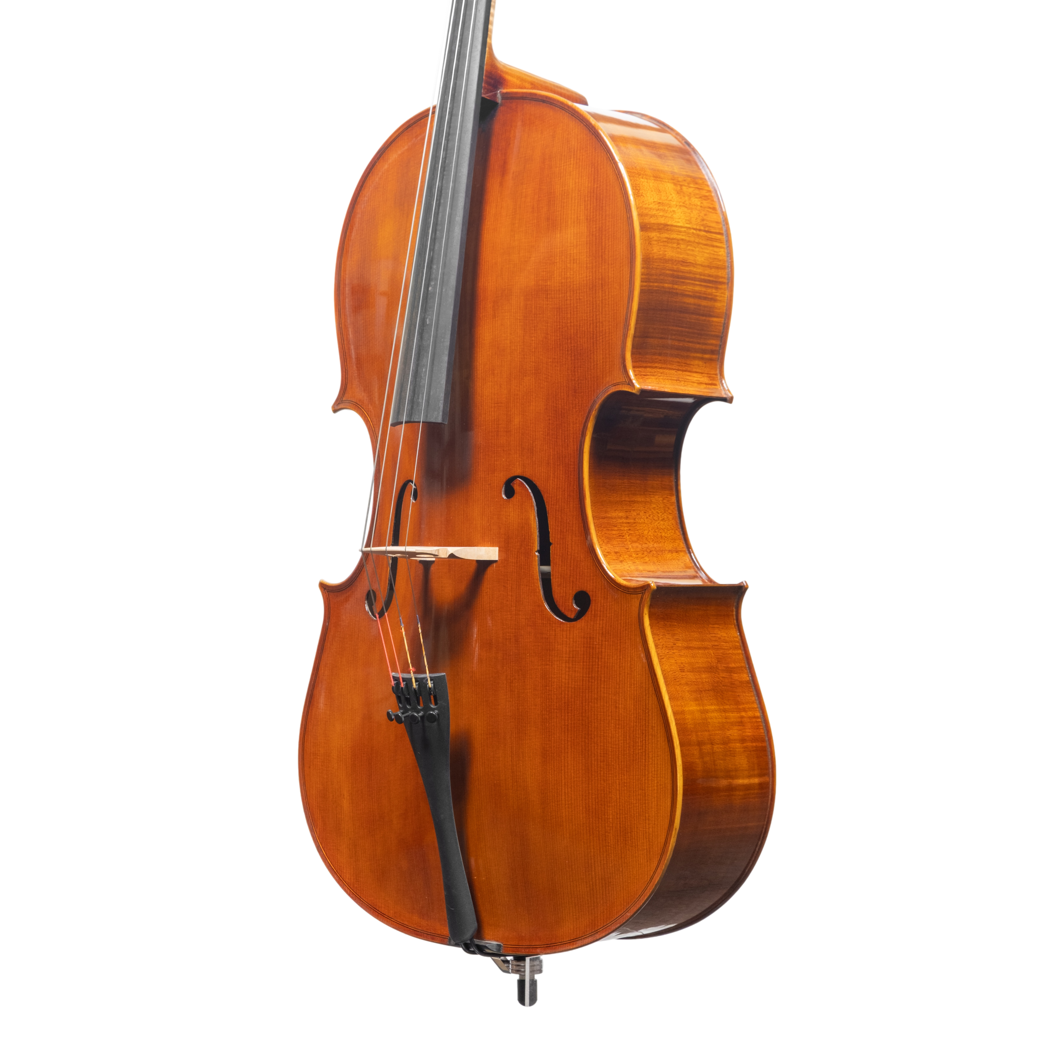 Cello - Scala Perfetta, Montagnana, Cremona 2025 "CIMA TOSA"