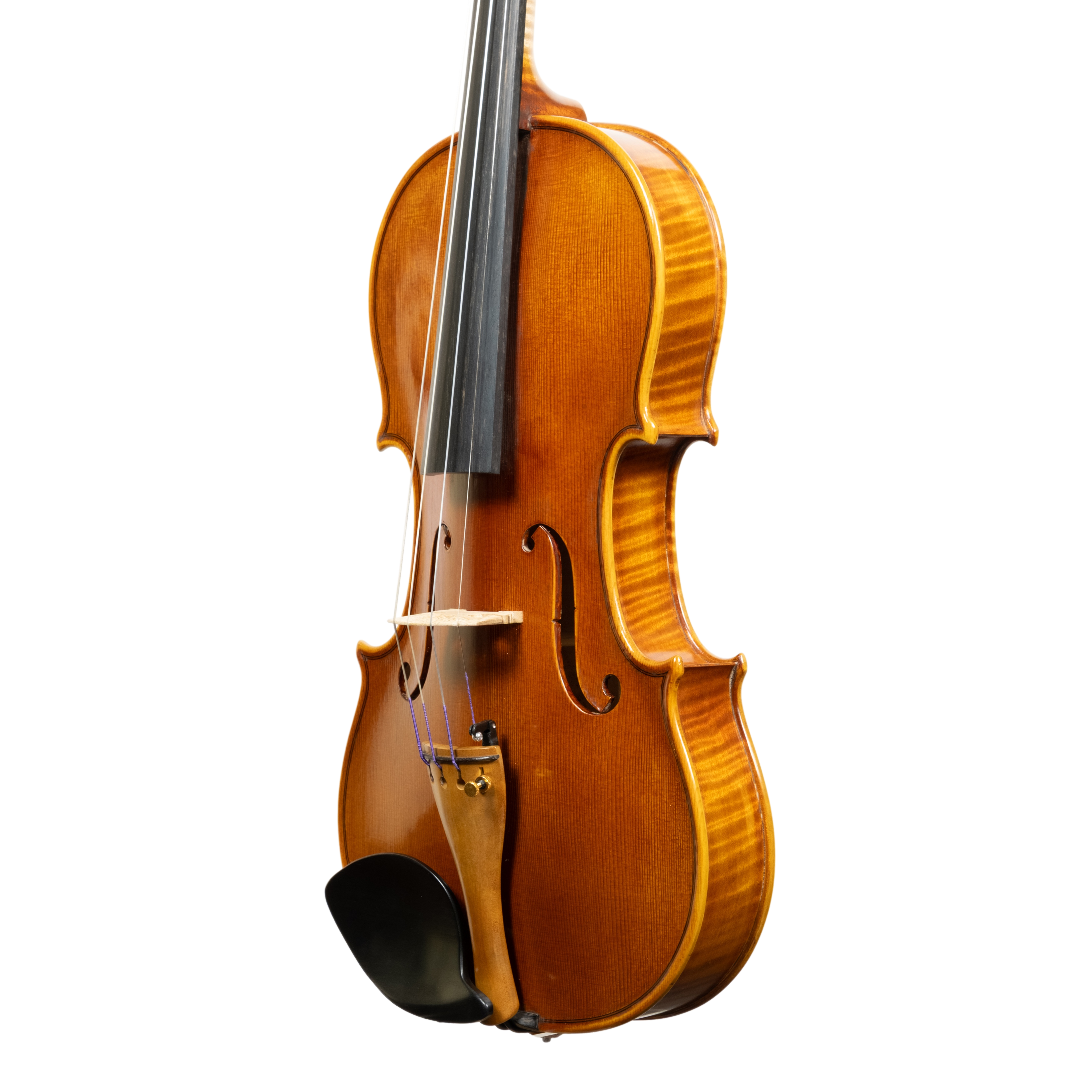 Violin - Linea Macchi, Stradivari Cremona 2025 B