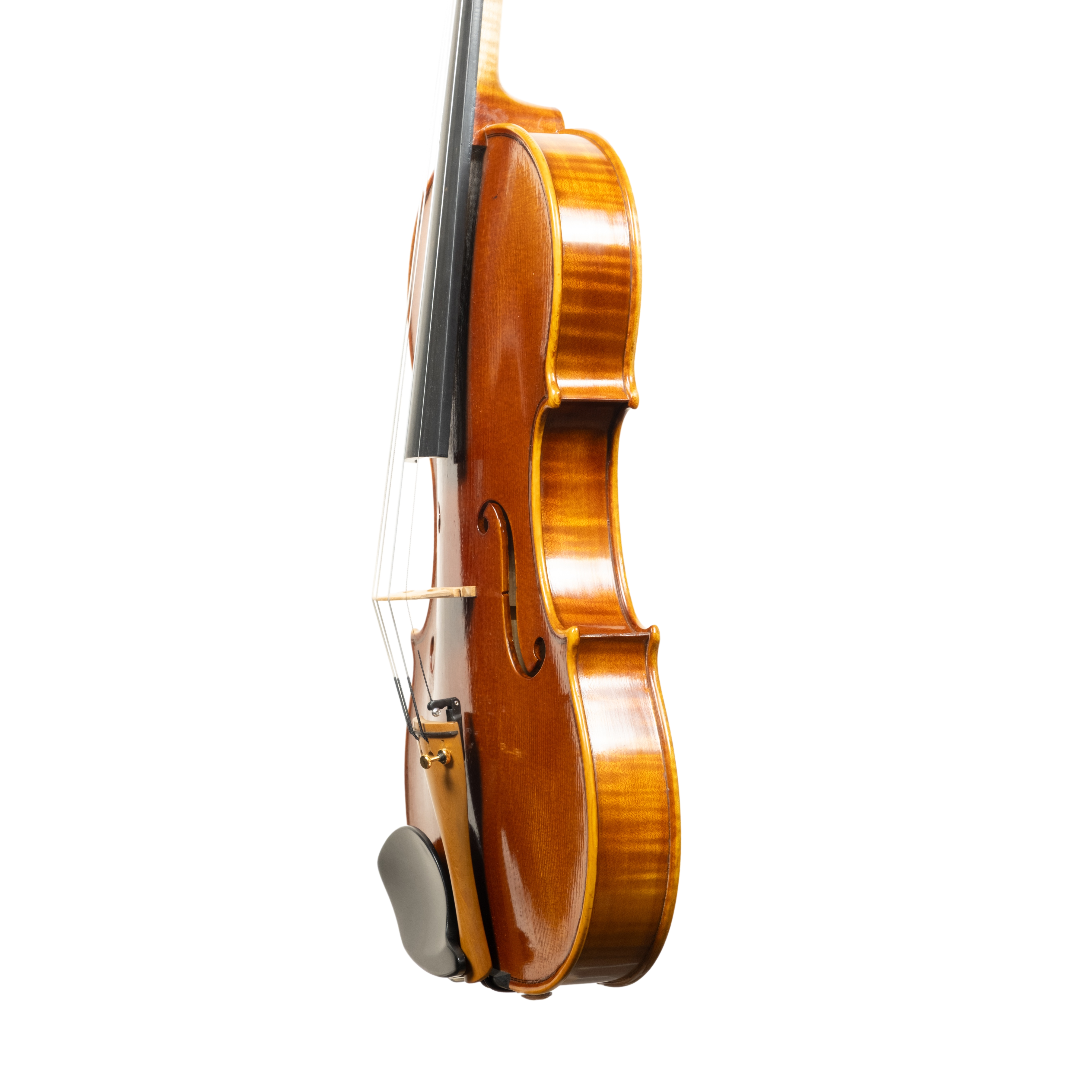 Violin - Linea Macchi, Guarneri "Lord Wilton" 2026 Avisio
