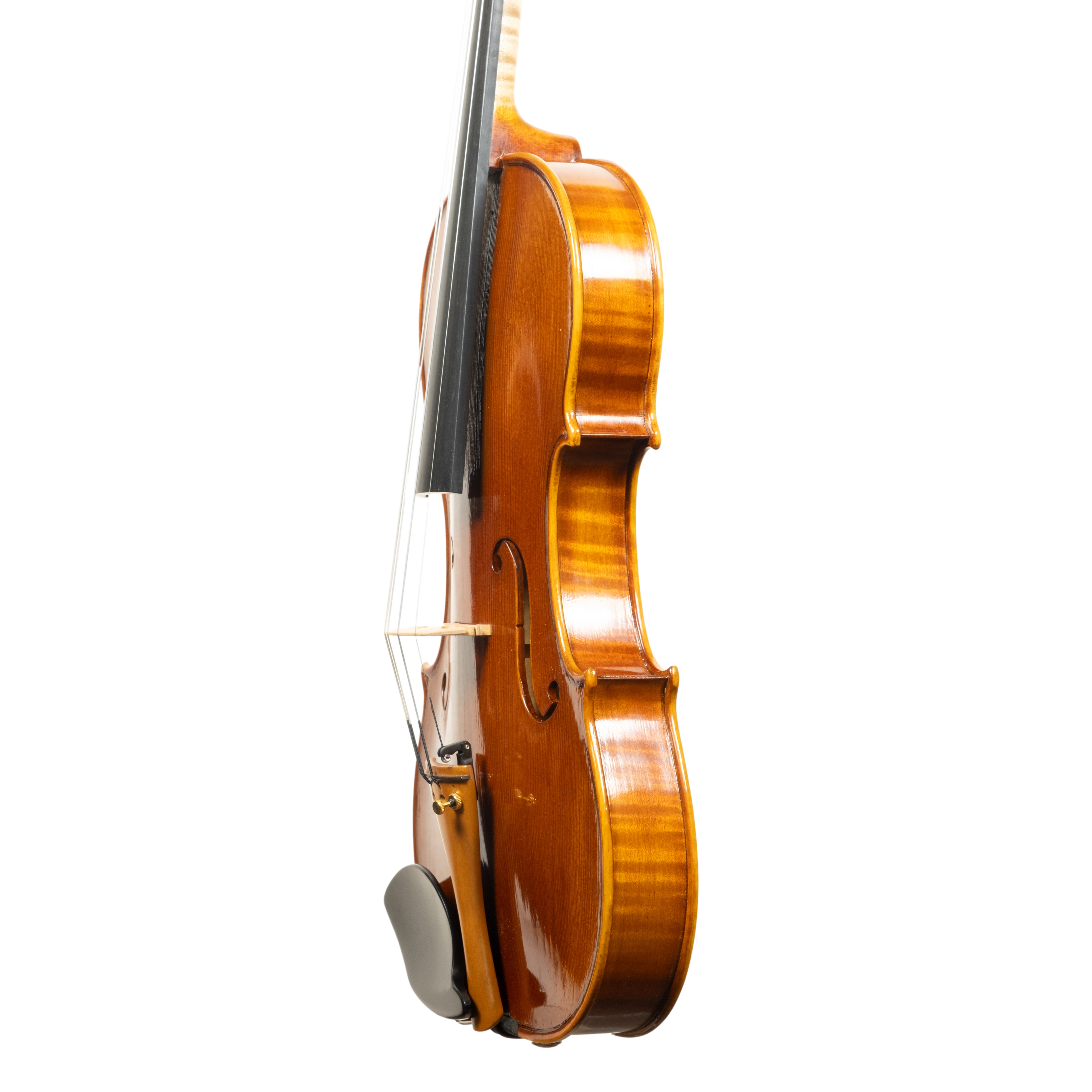 Violin - Linea Macchi, Guarneri "Lord Wilton" 2026 Fersina