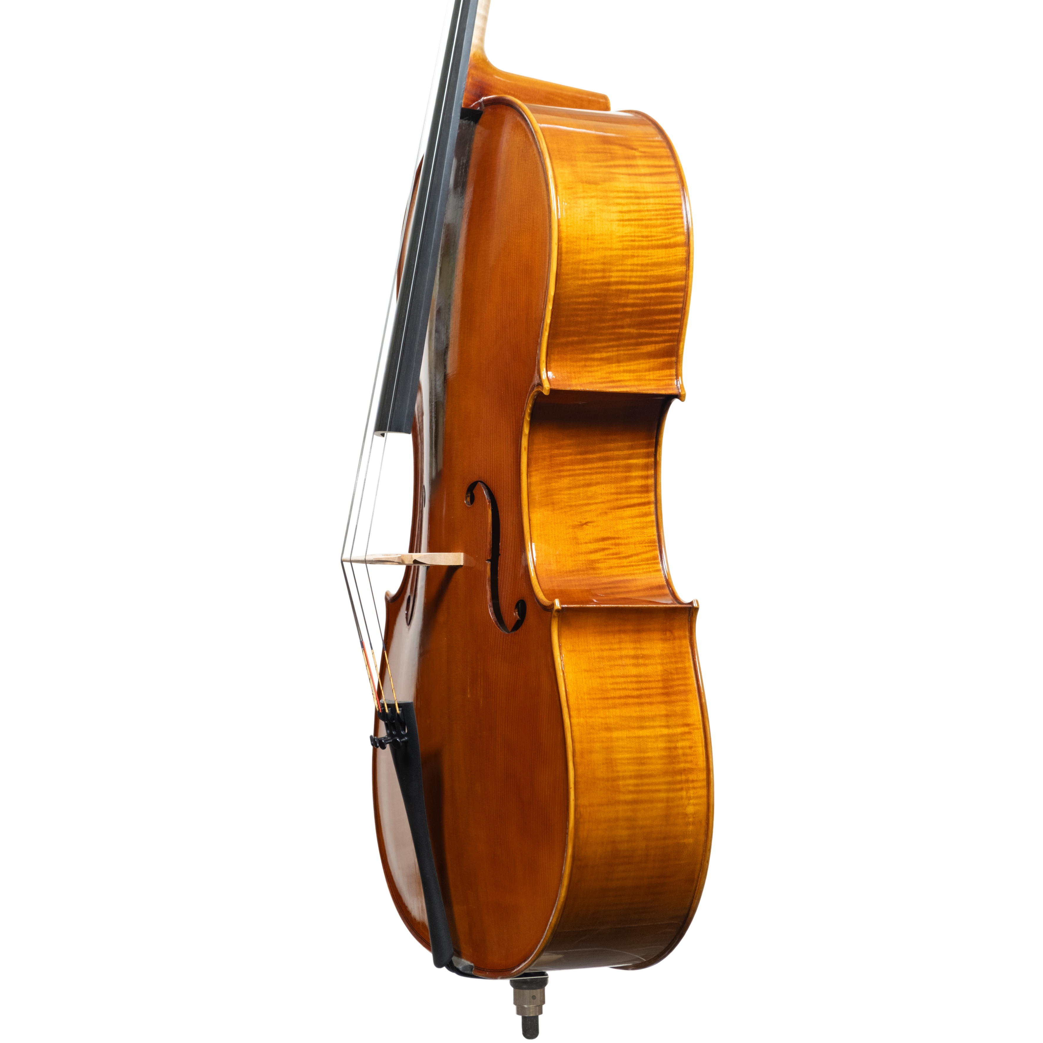Cello - Scala Perfetta, Stradivari, Cremona 2025 "CEVEDALE"