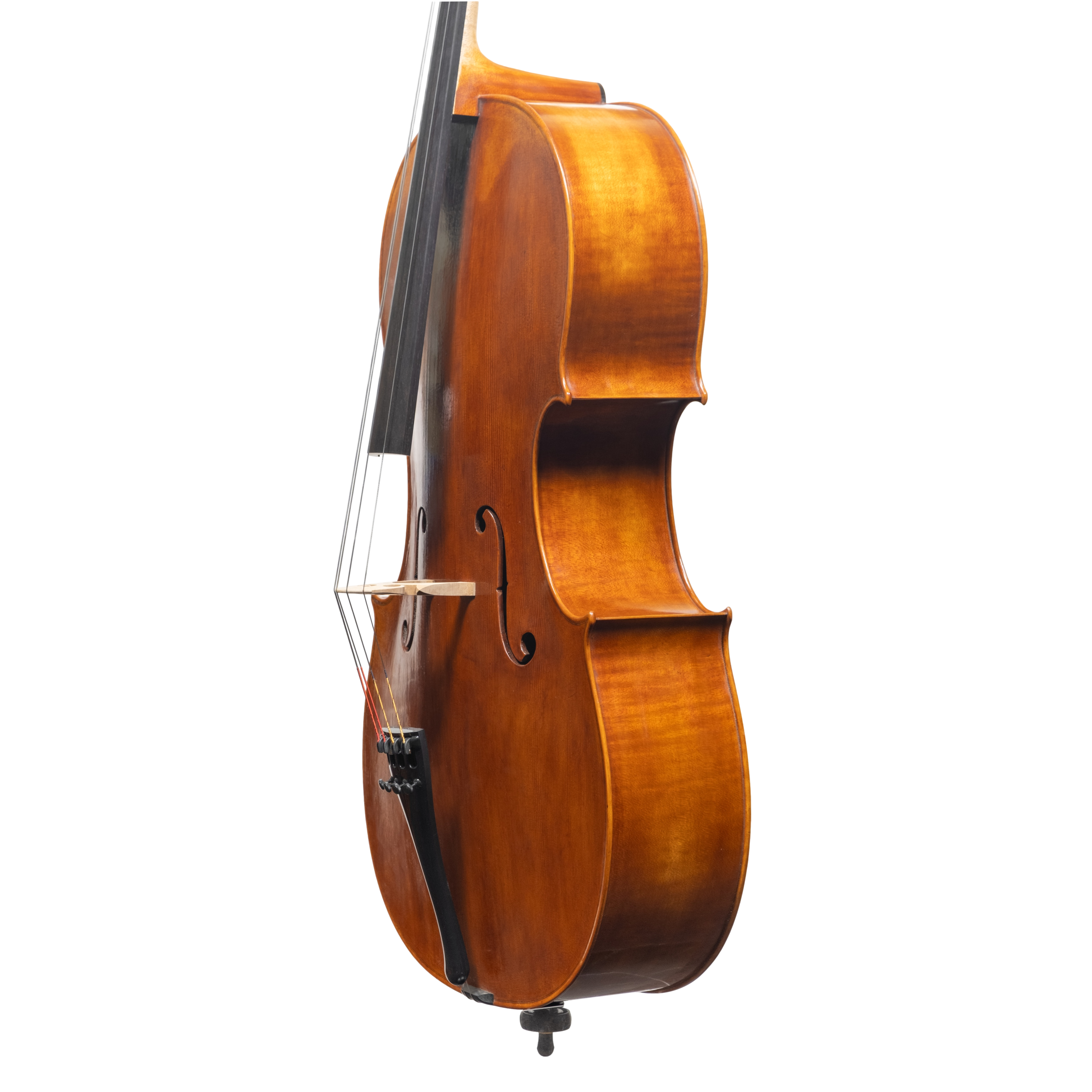 Cello - Mina Mazzolari, Matteo Goffriler, Cremona 2025