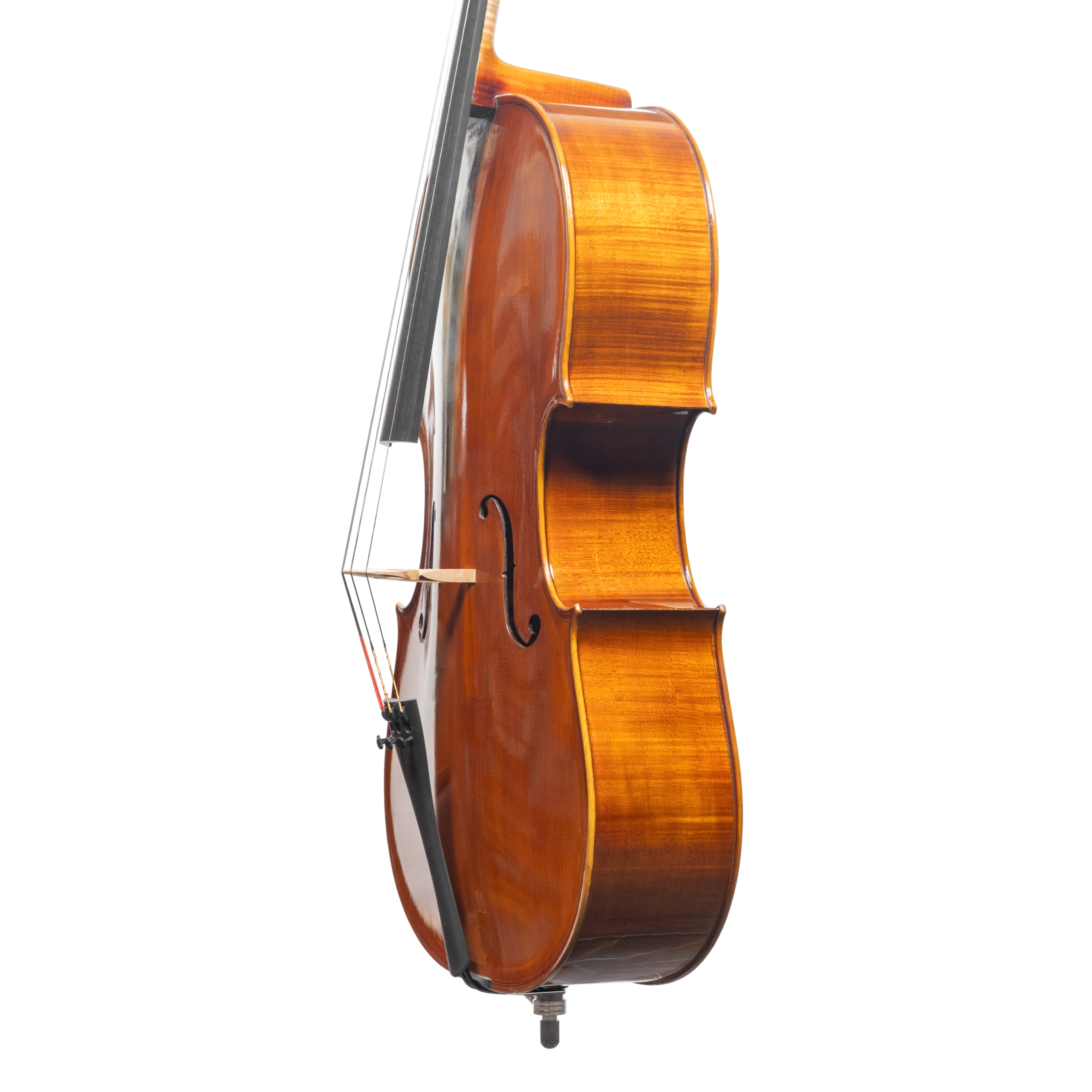 Cello - Scala Perfetta, Montagnana, Cremona 2025 "CIMA TOSA"
