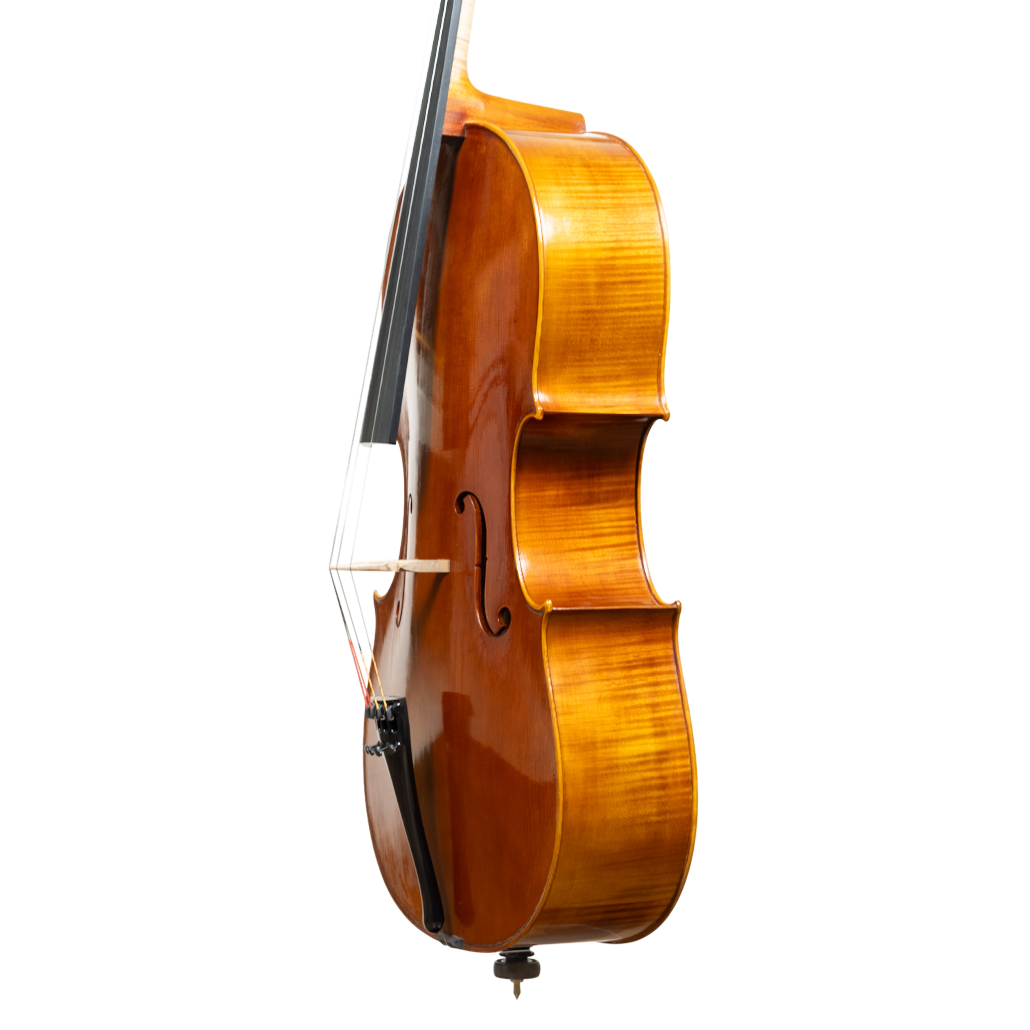 Cello - Linea Macchi, Domenico Montagnana "Sleeping Beauty", Cremona 2026