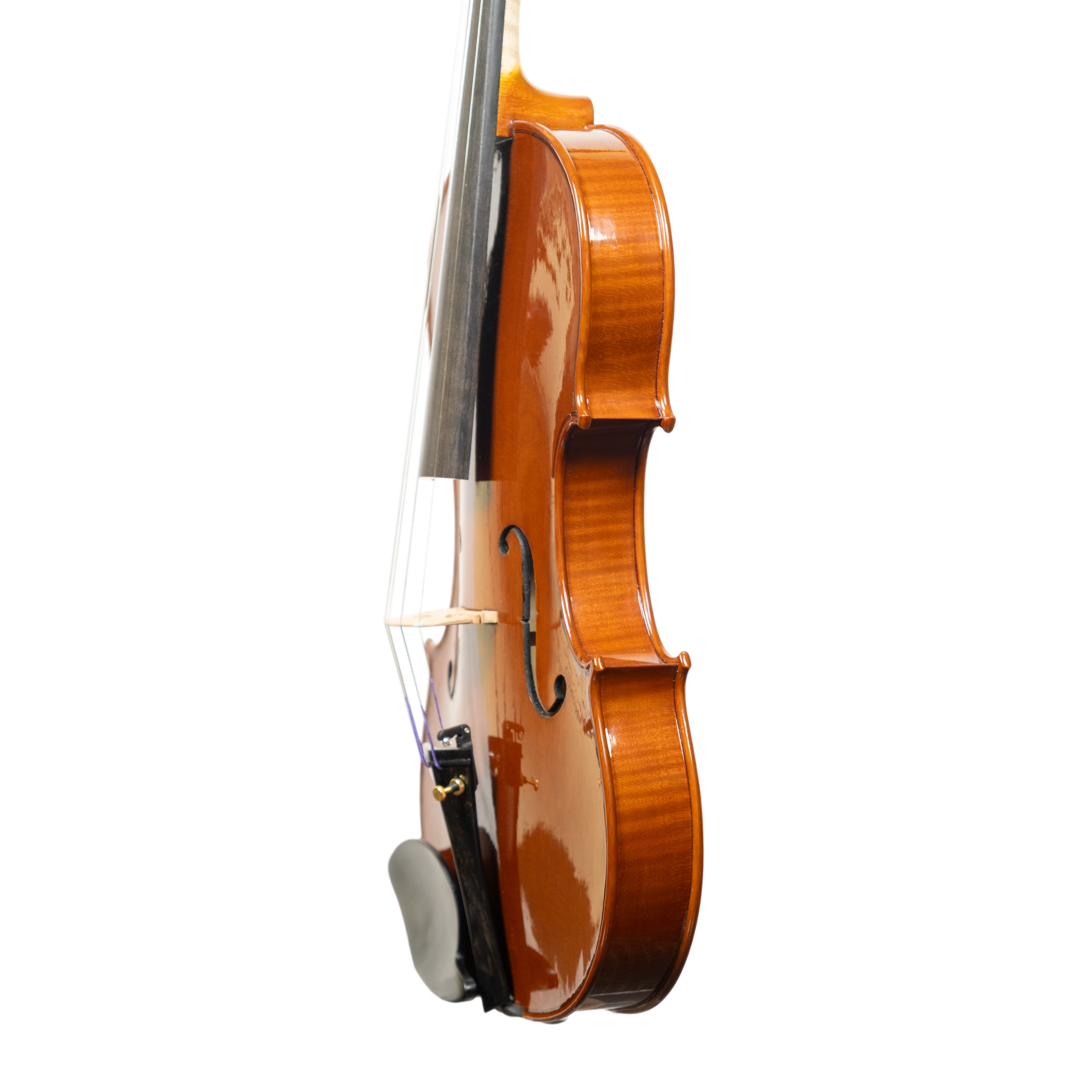 Violin - Arianna Endo, Amati, Cremona 2024
