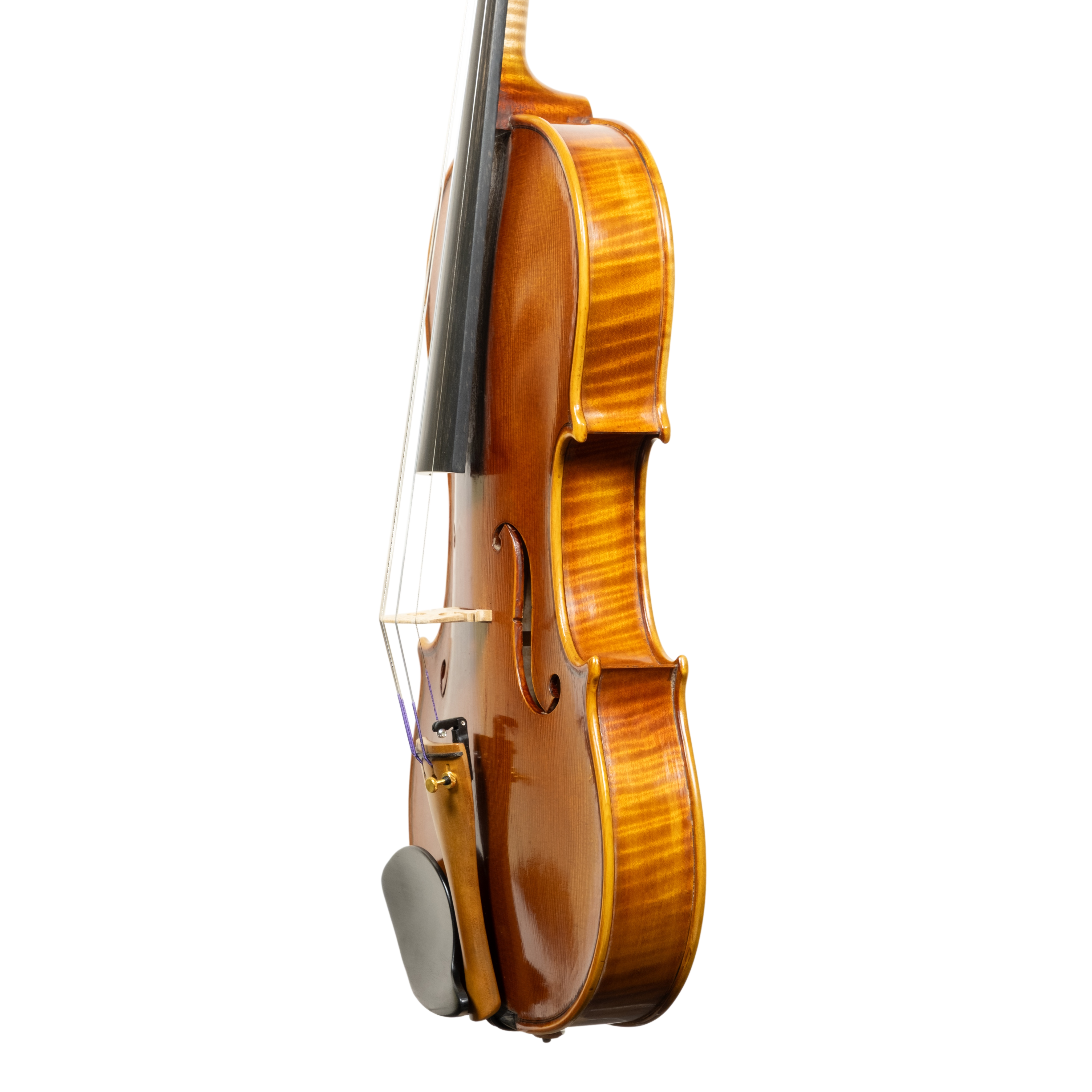 Violin - Linea Macchi, Stradivari Cremona 2025 B