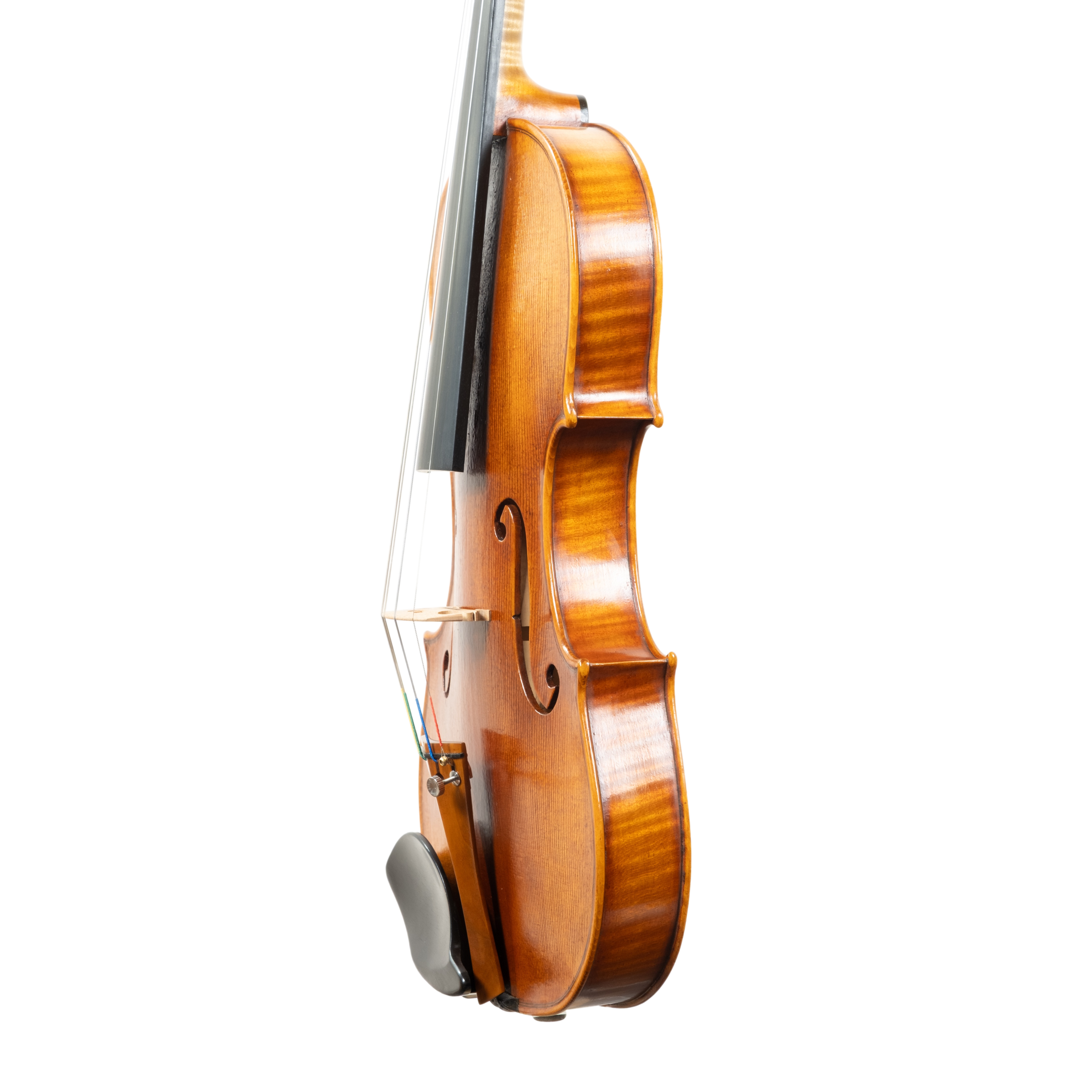 Violin - Mina Mazzolari, Guarneri del Gesú "Ole Bull", Cremona 2026